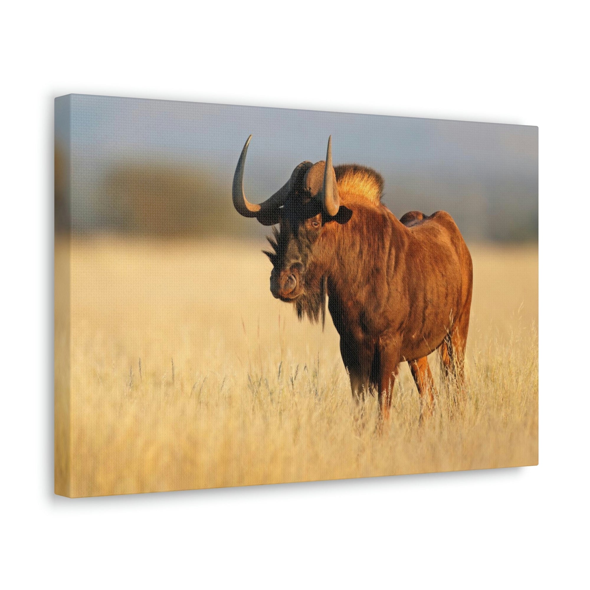 Scripture Walls Wildebeest Hunting Wildebeest on Hunt Print Animal Wall Art Wildlife Canvas Prints Wall Art Ready to Hang Unframed-Express Your Love Gifts