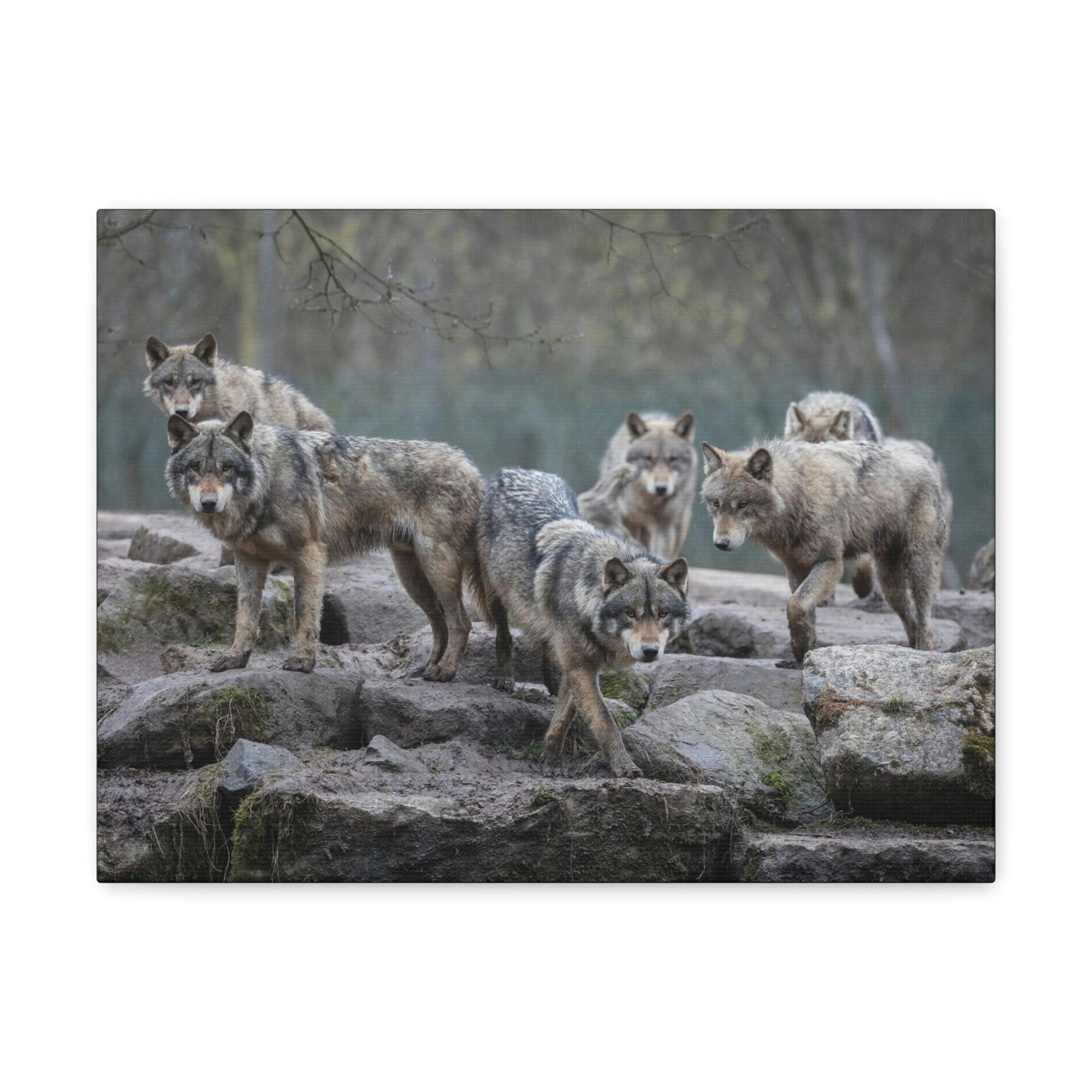 Scripture Walls Wolf Group Wolf Troop Print Animal Wall Art Wildlife Canvas Prints Wall Art Ready to Hang Unframed-Express Your Love Gifts