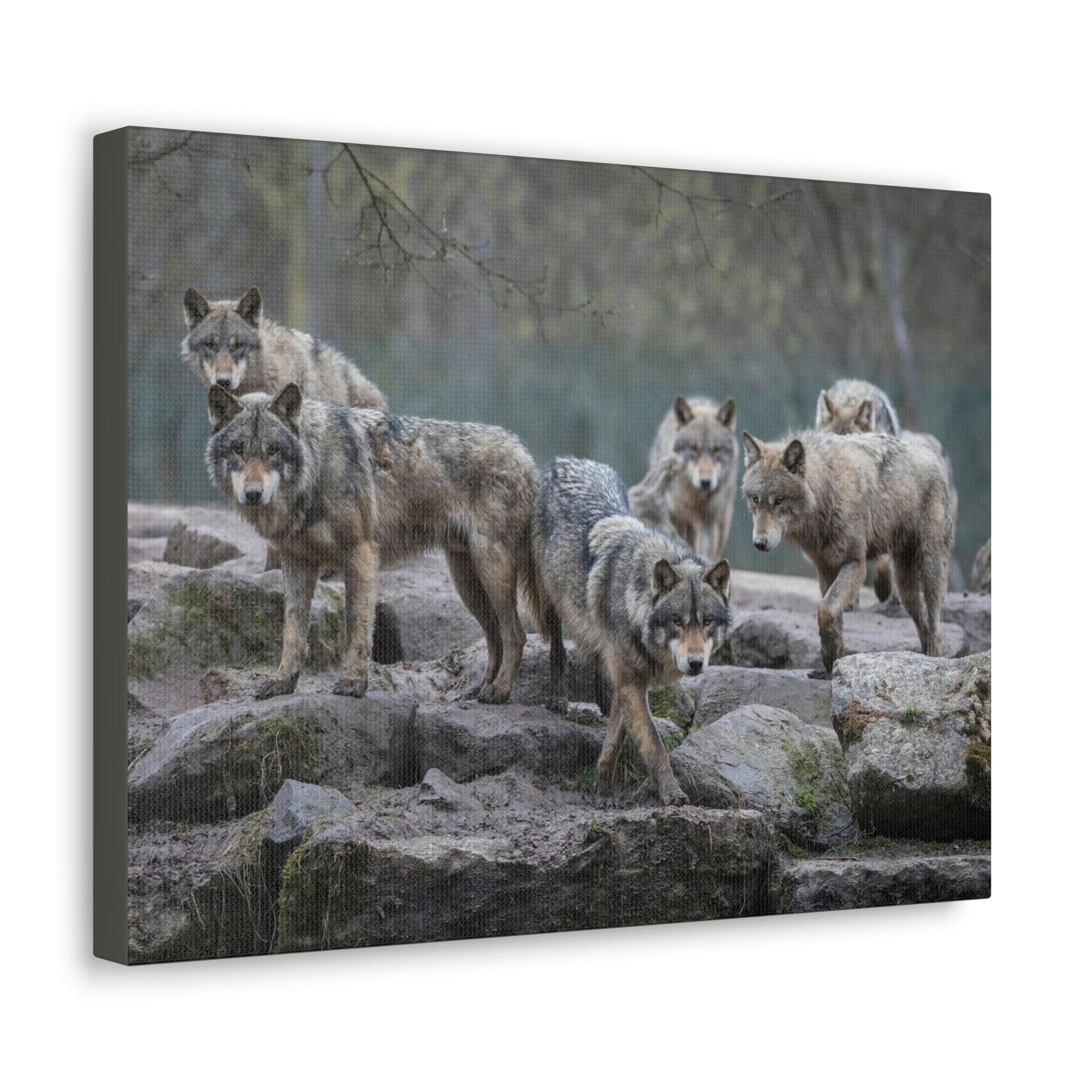 Scripture Walls Wolf Group Wolf Troop Print Animal Wall Art Wildlife Canvas Prints Wall Art Ready to Hang Unframed-Express Your Love Gifts