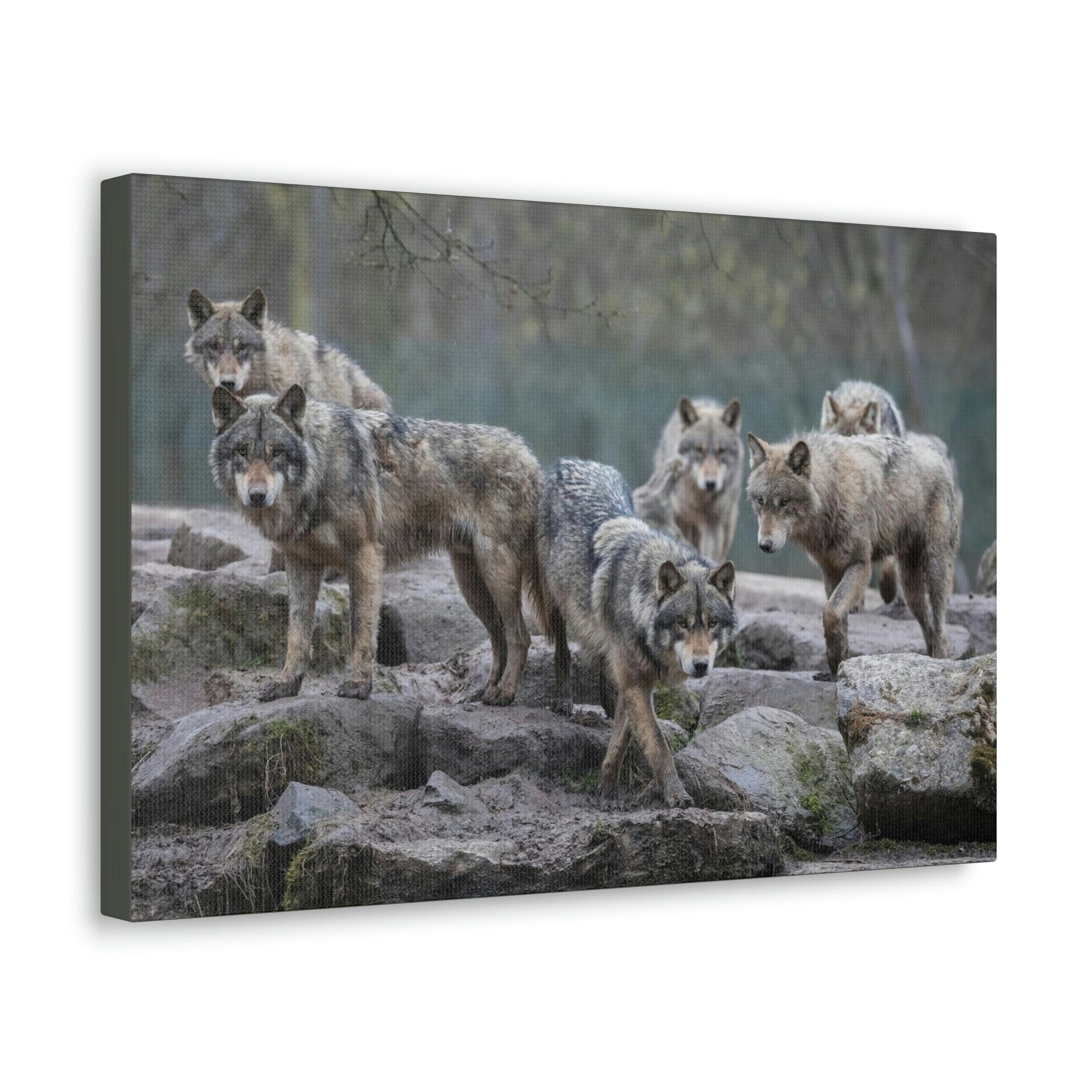 Scripture Walls Wolf Group Wolf Troop Print Animal Wall Art Wildlife Canvas Prints Wall Art Ready to Hang Unframed-Express Your Love Gifts