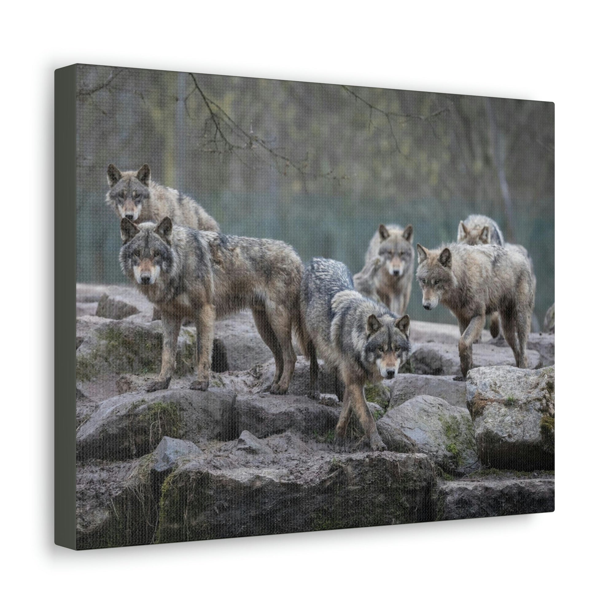 Scripture Walls Wolf Group Wolf Troop Print Animal Wall Art Wildlife Canvas Prints Wall Art Ready to Hang Unframed-Express Your Love Gifts