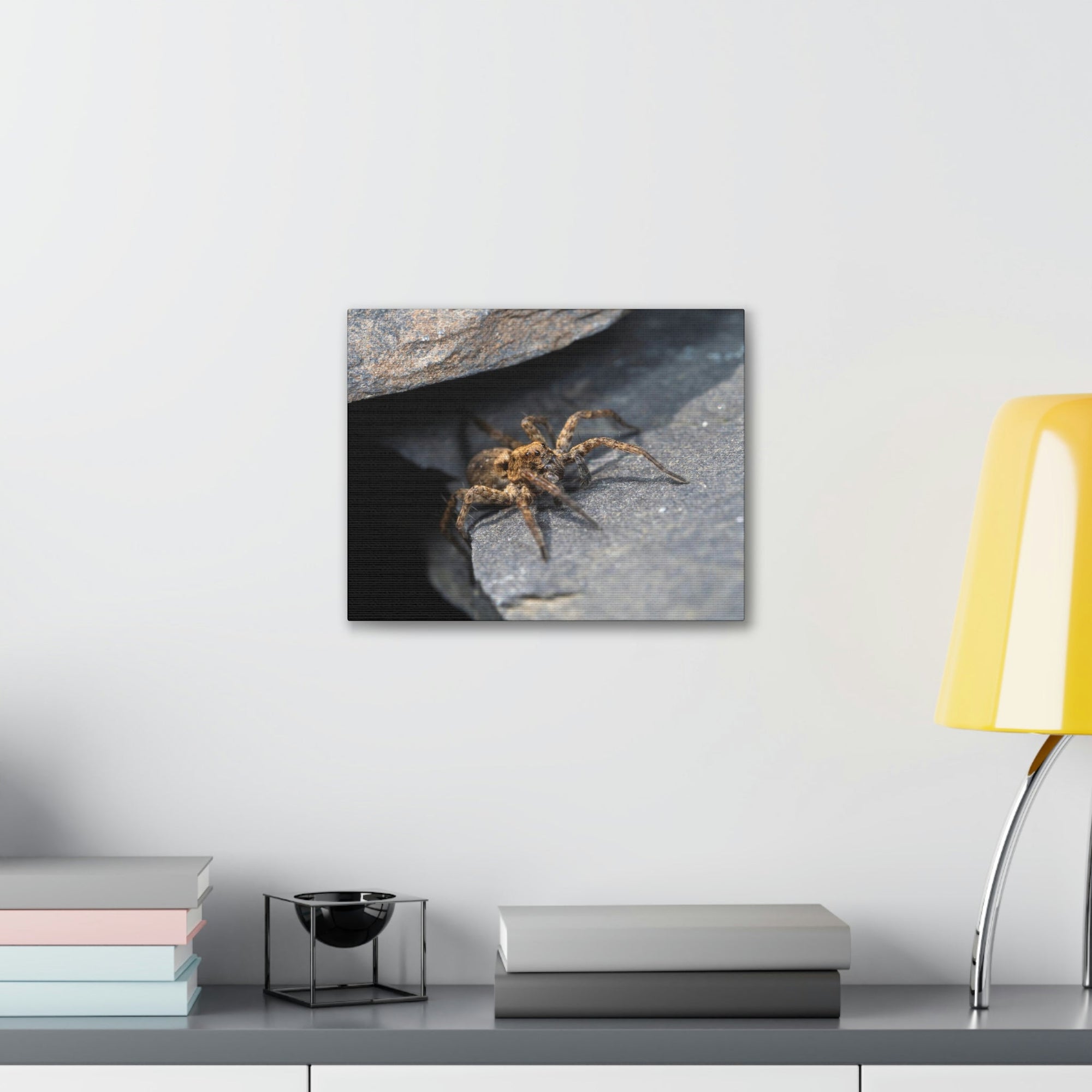 Scripture Walls Wolf Spider Hunting Wolf Spider on Hunt Print Animal Wall Art Wildlife Canvas Prints Wall Art Ready to Hang Unframed-Express Your Love Gifts