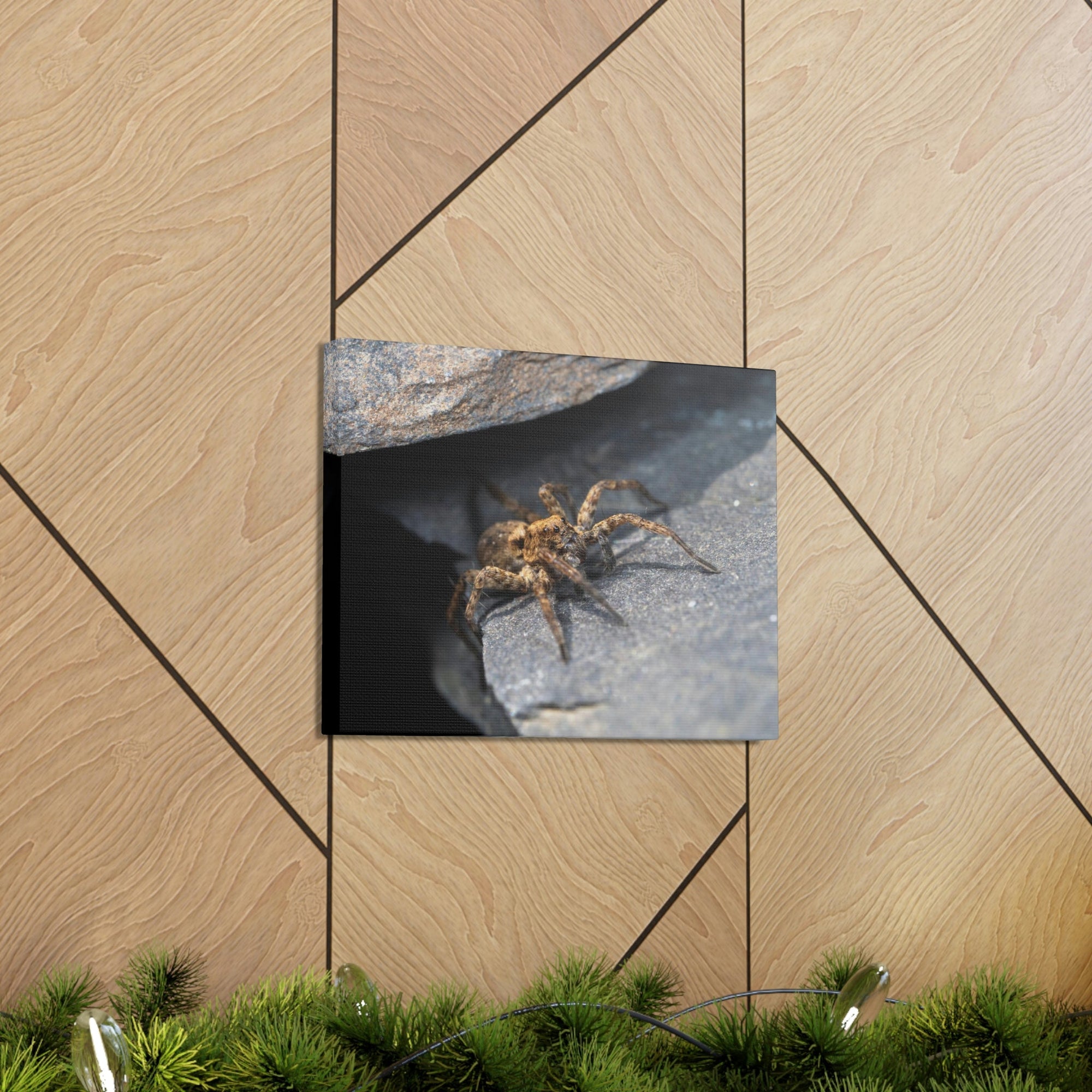 Scripture Walls Wolf Spider Hunting Wolf Spider on Hunt Print Animal Wall Art Wildlife Canvas Prints Wall Art Ready to Hang Unframed-Express Your Love Gifts