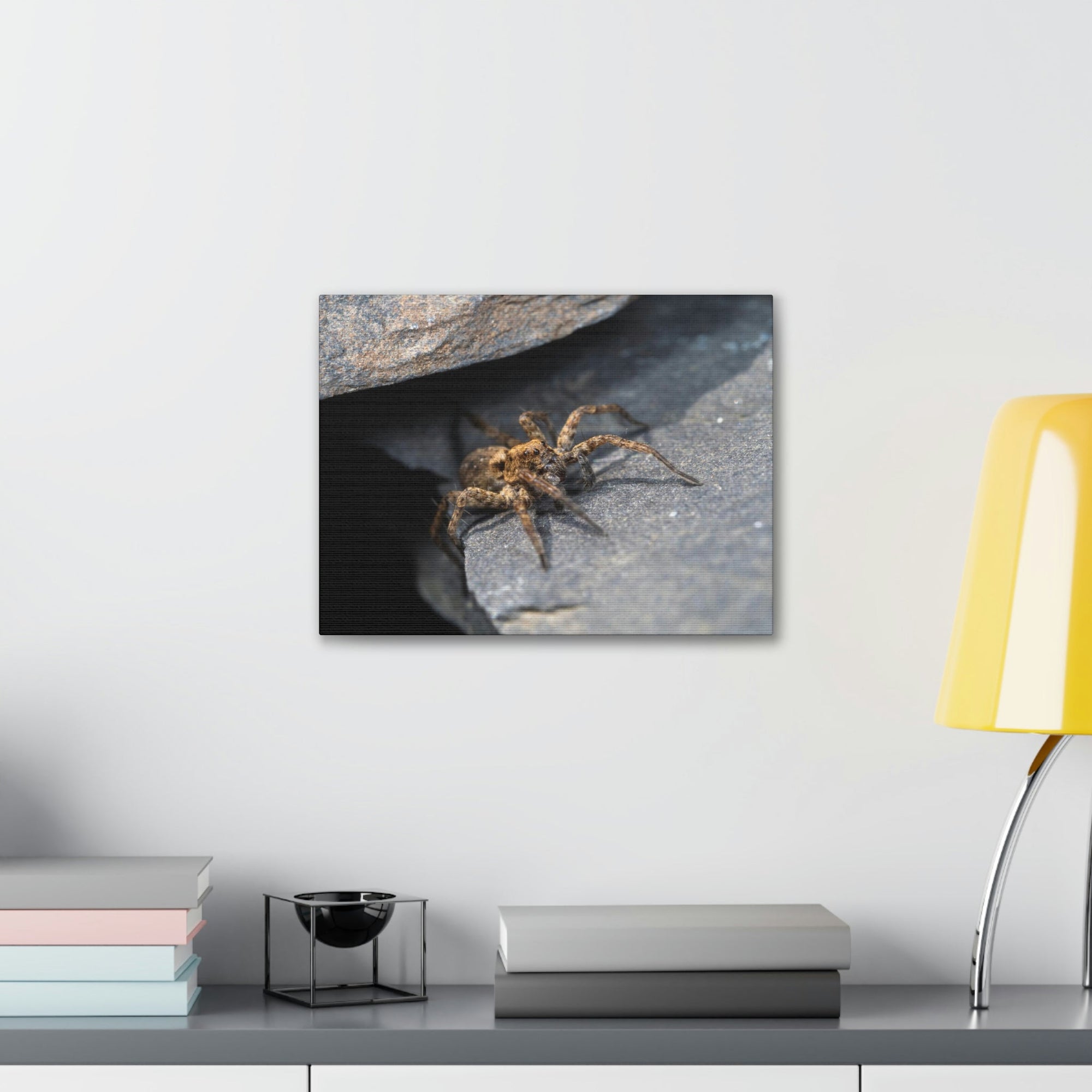 Scripture Walls Wolf Spider Hunting Wolf Spider on Hunt Print Animal Wall Art Wildlife Canvas Prints Wall Art Ready to Hang Unframed-Express Your Love Gifts