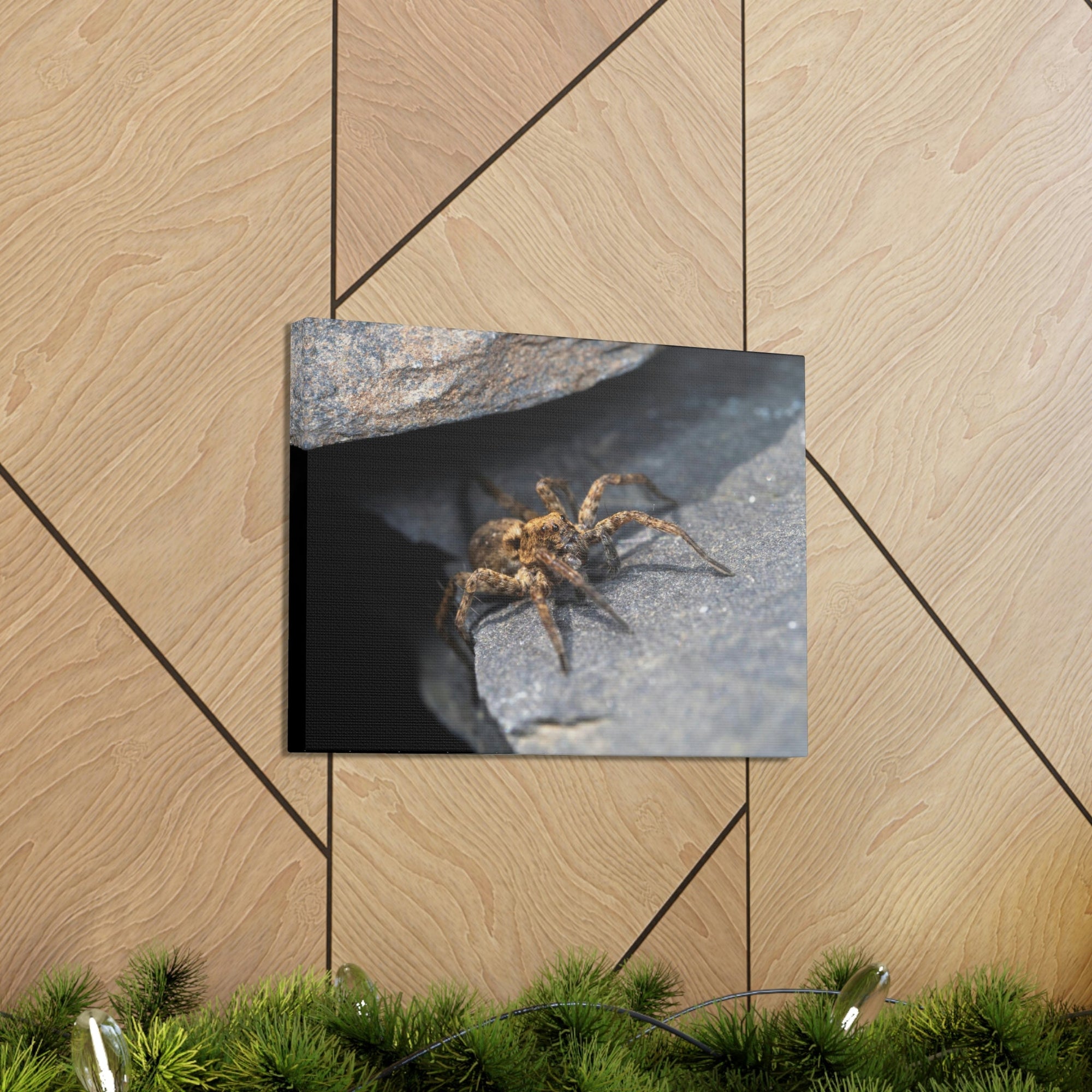 Scripture Walls Wolf Spider Hunting Wolf Spider on Hunt Print Animal Wall Art Wildlife Canvas Prints Wall Art Ready to Hang Unframed-Express Your Love Gifts