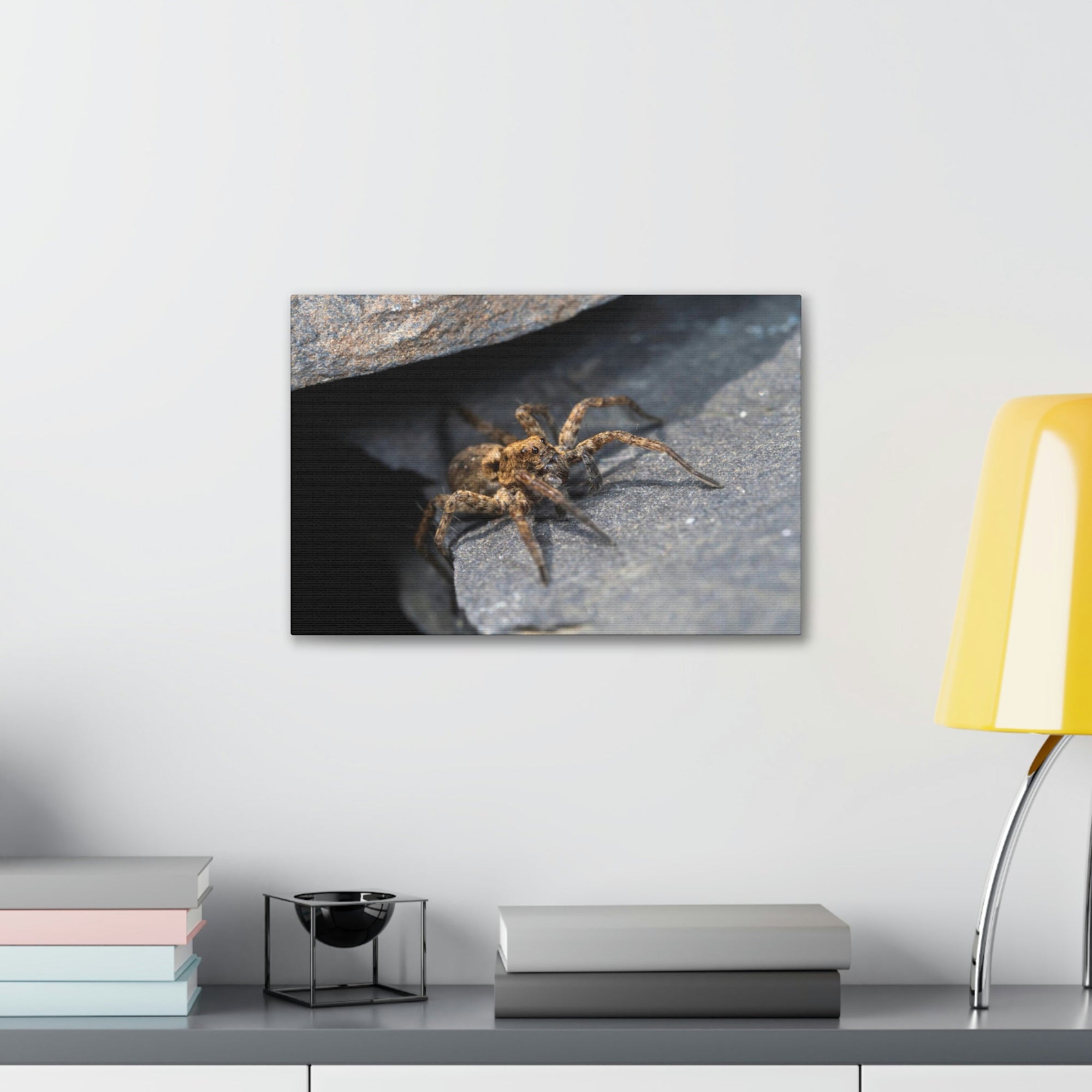 Scripture Walls Wolf Spider Hunting Wolf Spider on Hunt Print Animal Wall Art Wildlife Canvas Prints Wall Art Ready to Hang Unframed-Express Your Love Gifts