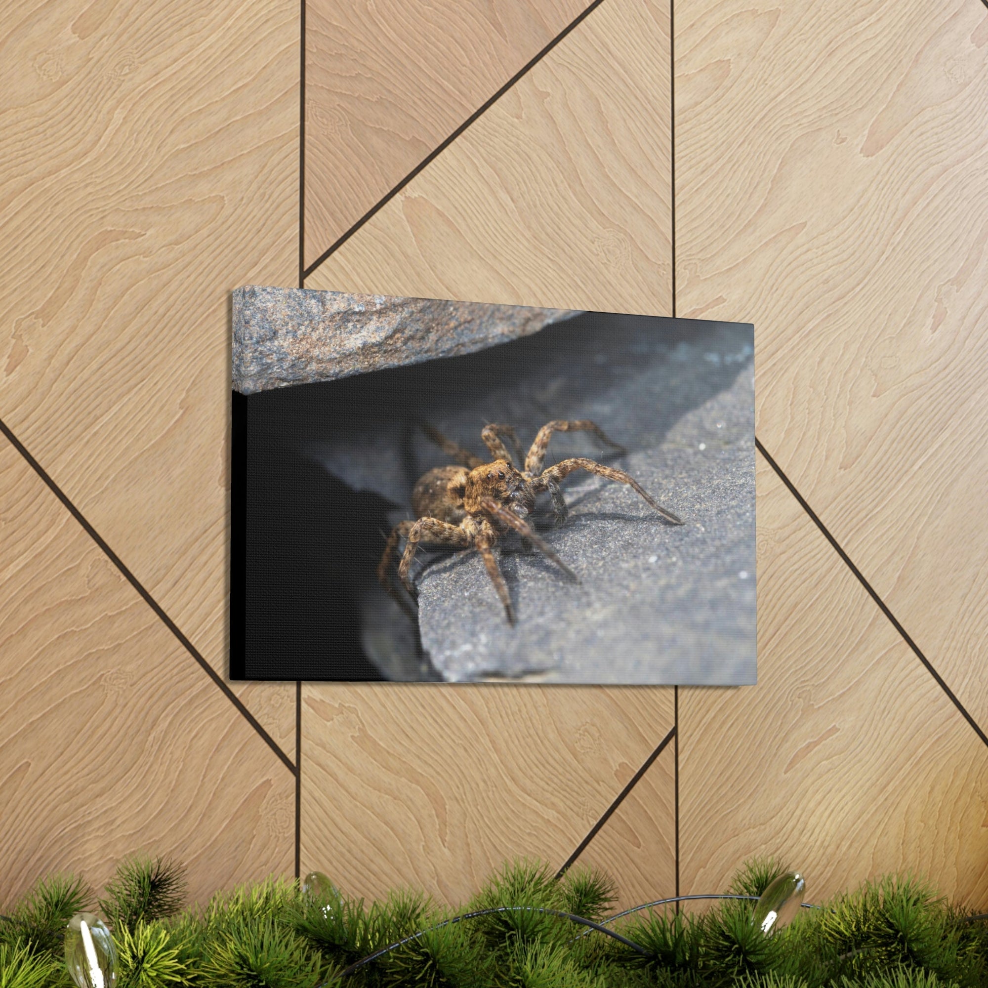 Scripture Walls Wolf Spider Hunting Wolf Spider on Hunt Print Animal Wall Art Wildlife Canvas Prints Wall Art Ready to Hang Unframed-Express Your Love Gifts