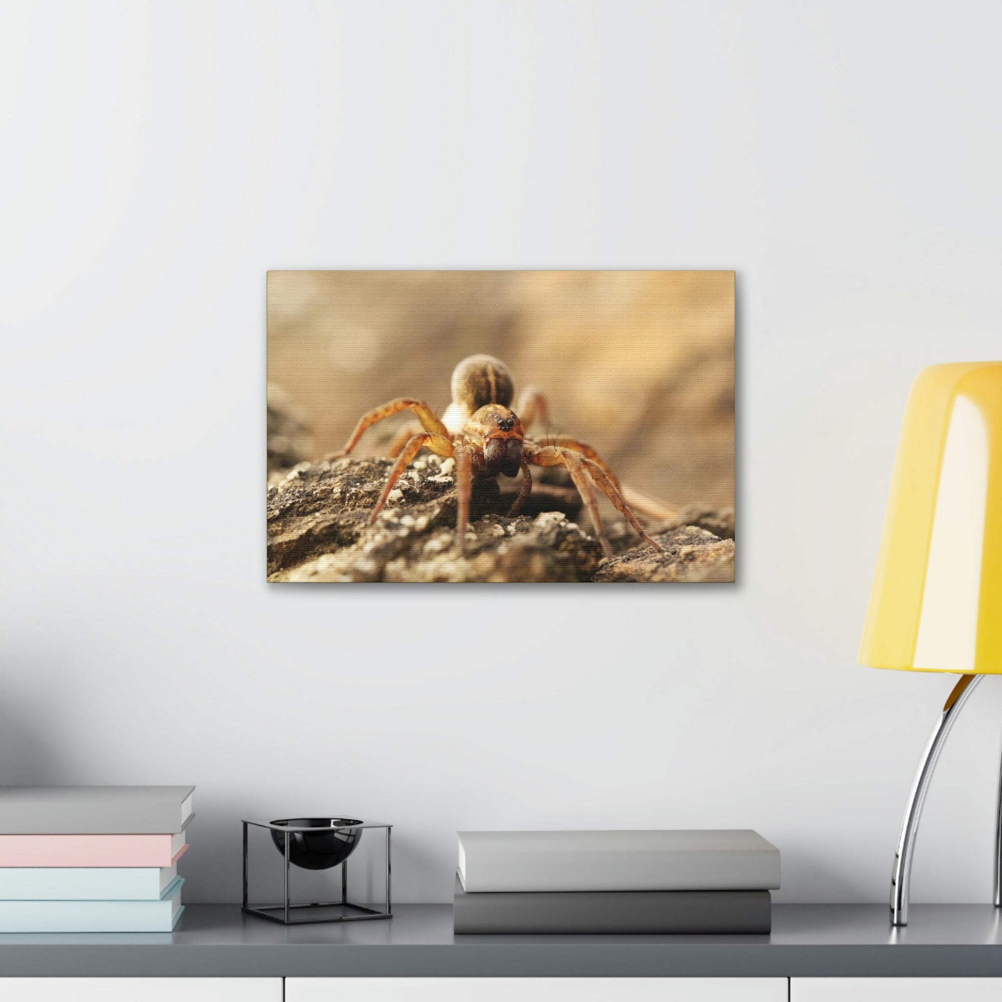 Scripture Walls Wolf Spider on the Rocks Up Close Print Animal Wall Art Wildlife Canvas Prints Wall Art Ready to Hang Unframed-Express Your Love Gifts