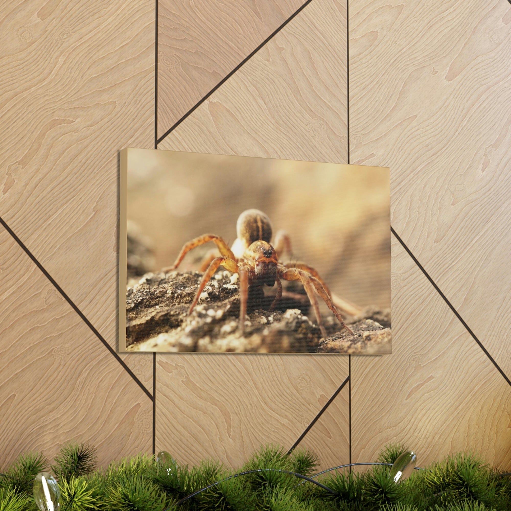 Scripture Walls Wolf Spider on the Rocks Up Close Print Animal Wall Art Wildlife Canvas Prints Wall Art Ready to Hang Unframed-Express Your Love Gifts