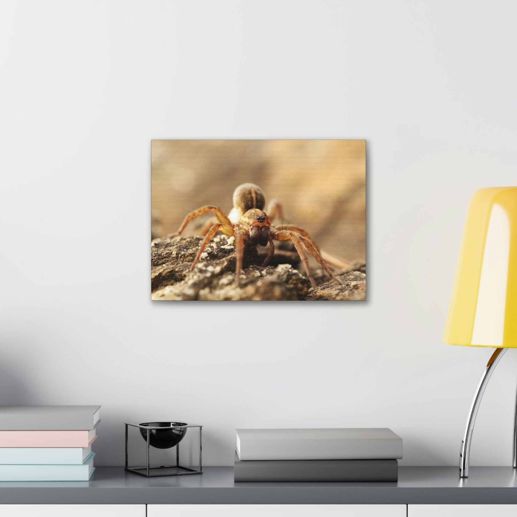 Scripture Walls Wolf Spider on the Rocks Up Close Print Animal Wall Art Wildlife Canvas Prints Wall Art Ready to Hang Unframed-Express Your Love Gifts