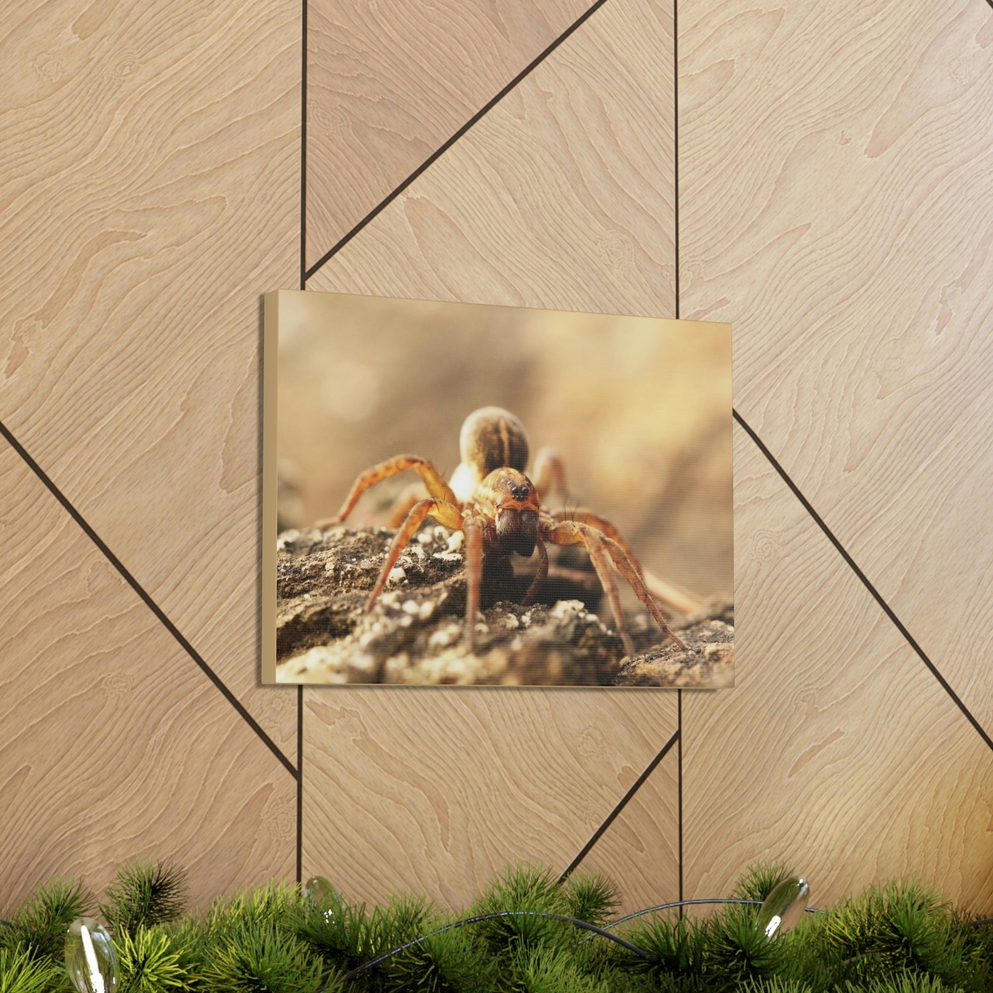 Scripture Walls Wolf Spider on the Rocks Up Close Print Animal Wall Art Wildlife Canvas Prints Wall Art Ready to Hang Unframed-Express Your Love Gifts