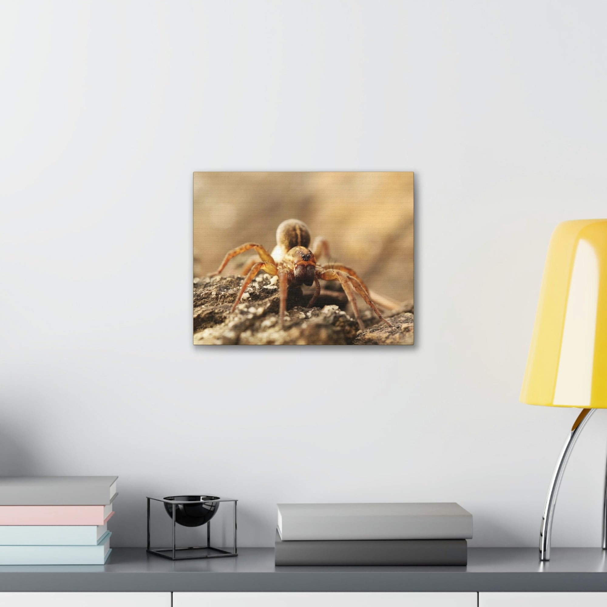 Scripture Walls Wolf Spider on the Rocks Up Close Print Animal Wall Art Wildlife Canvas Prints Wall Art Ready to Hang Unframed-Express Your Love Gifts