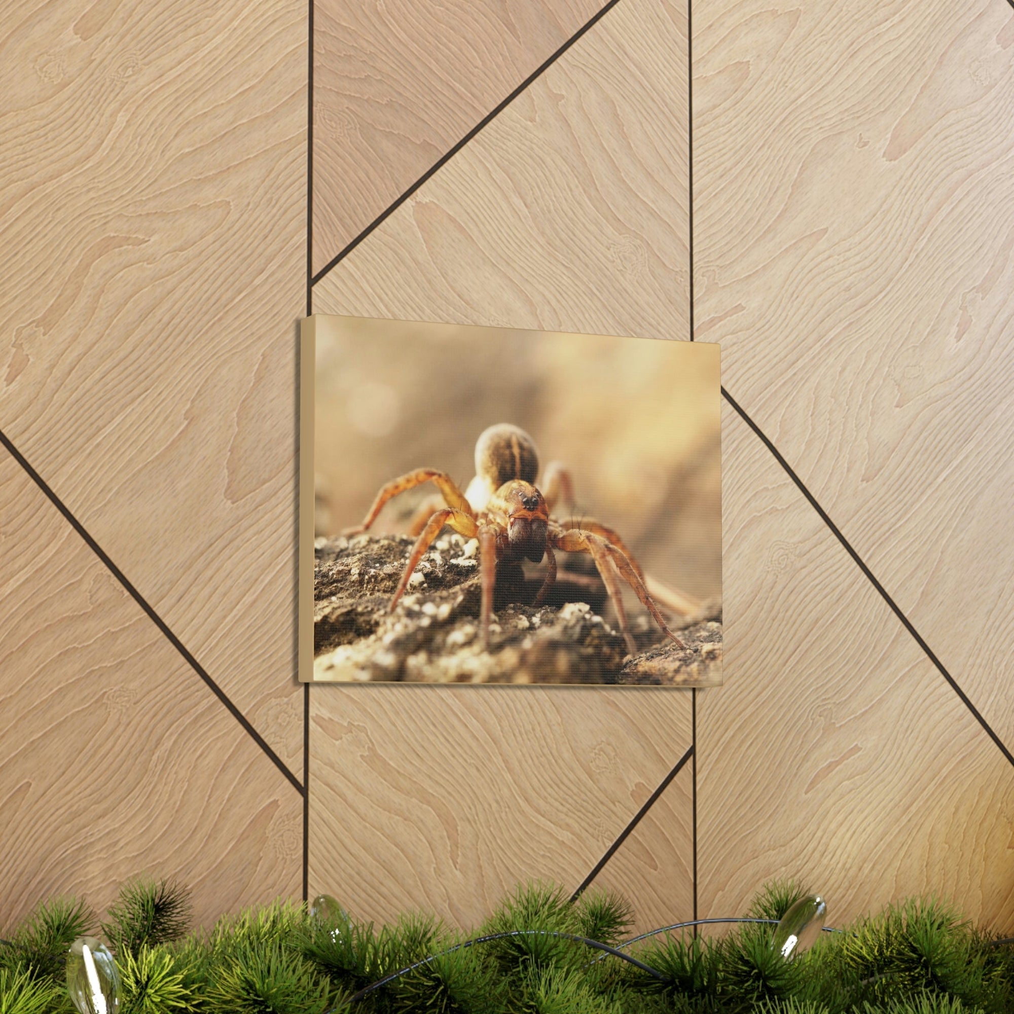 Scripture Walls Wolf Spider on the Rocks Up Close Print Animal Wall Art Wildlife Canvas Prints Wall Art Ready to Hang Unframed-Express Your Love Gifts