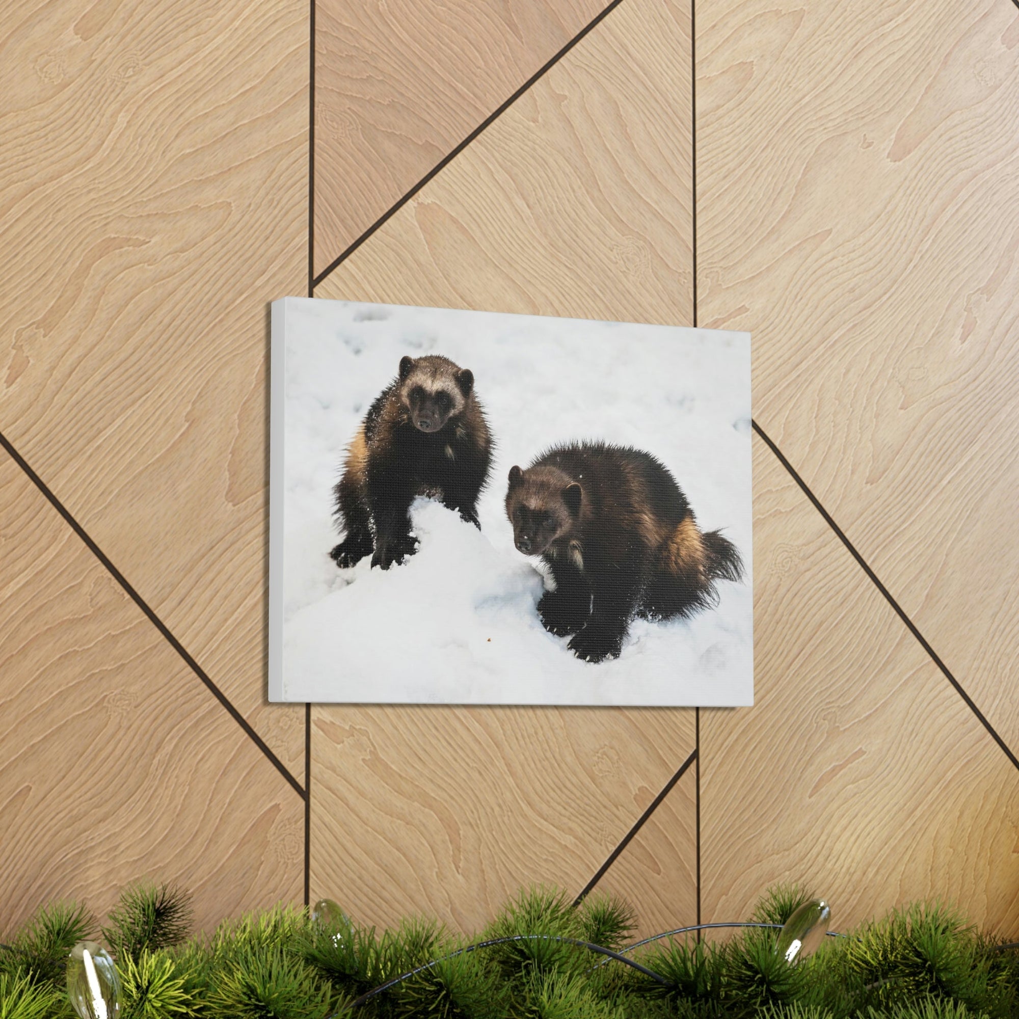 Scripture Walls Wolverine Couple Wolverine Couple Print Animal Wall Art Wildlife Canvas Prints Wall Art Ready to Hang Unframed-Express Your Love Gifts