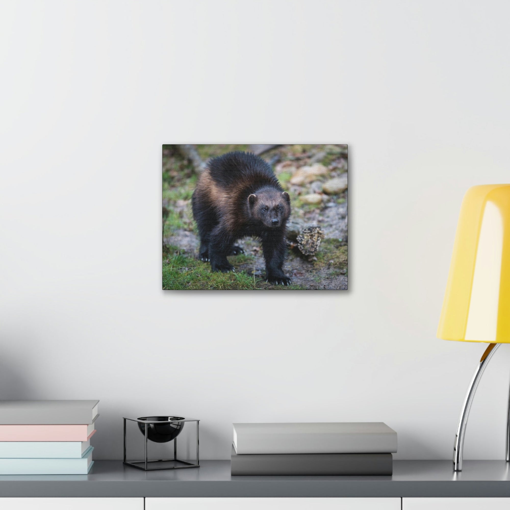 Scripture Walls Wolverine Hunting Wolverine on Hunt Print Animal Wall Art Wildlife Canvas Prints Wall Art Ready to Hang Unframed-Express Your Love Gifts