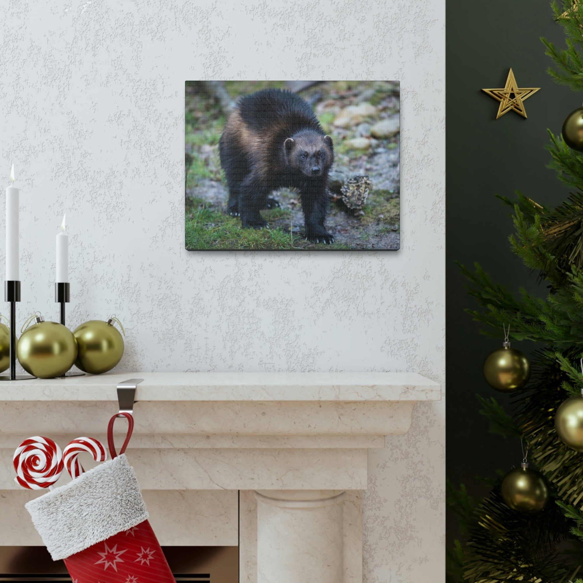 Scripture Walls Wolverine Hunting Wolverine on Hunt Print Animal Wall Art Wildlife Canvas Prints Wall Art Ready to Hang Unframed-Express Your Love Gifts