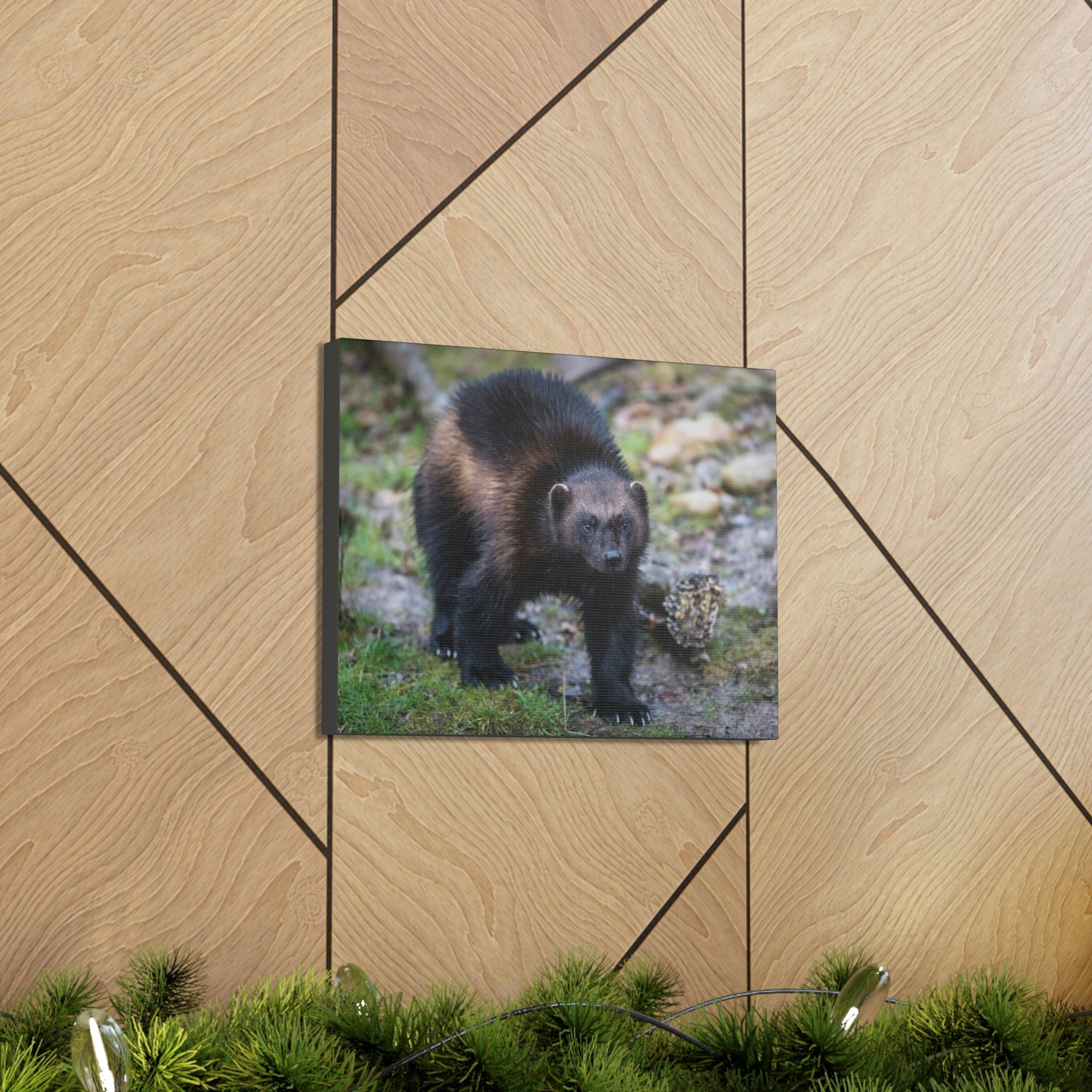 Scripture Walls Wolverine Hunting Wolverine on Hunt Print Animal Wall Art Wildlife Canvas Prints Wall Art Ready to Hang Unframed-Express Your Love Gifts