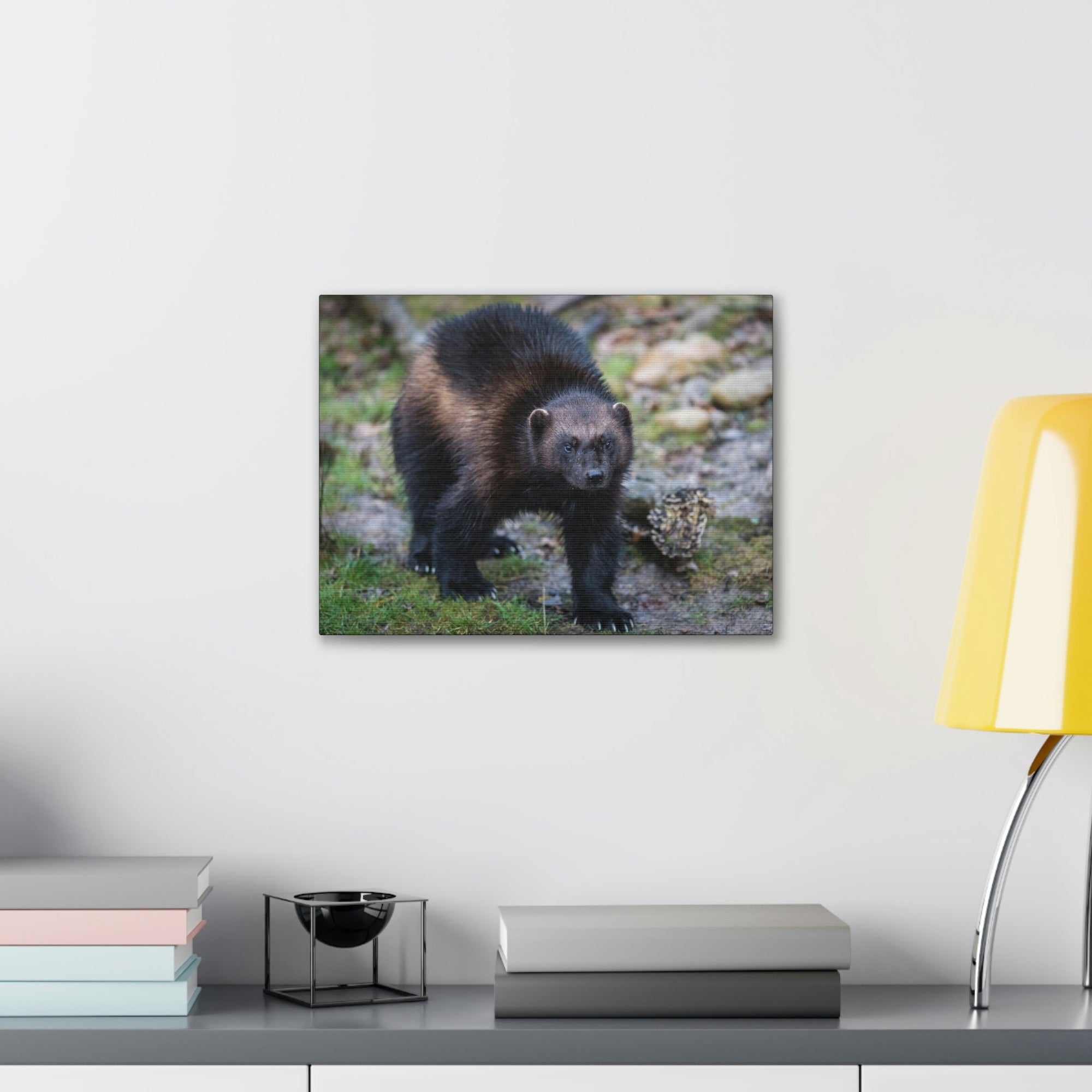 Scripture Walls Wolverine Hunting Wolverine on Hunt Print Animal Wall Art Wildlife Canvas Prints Wall Art Ready to Hang Unframed-Express Your Love Gifts