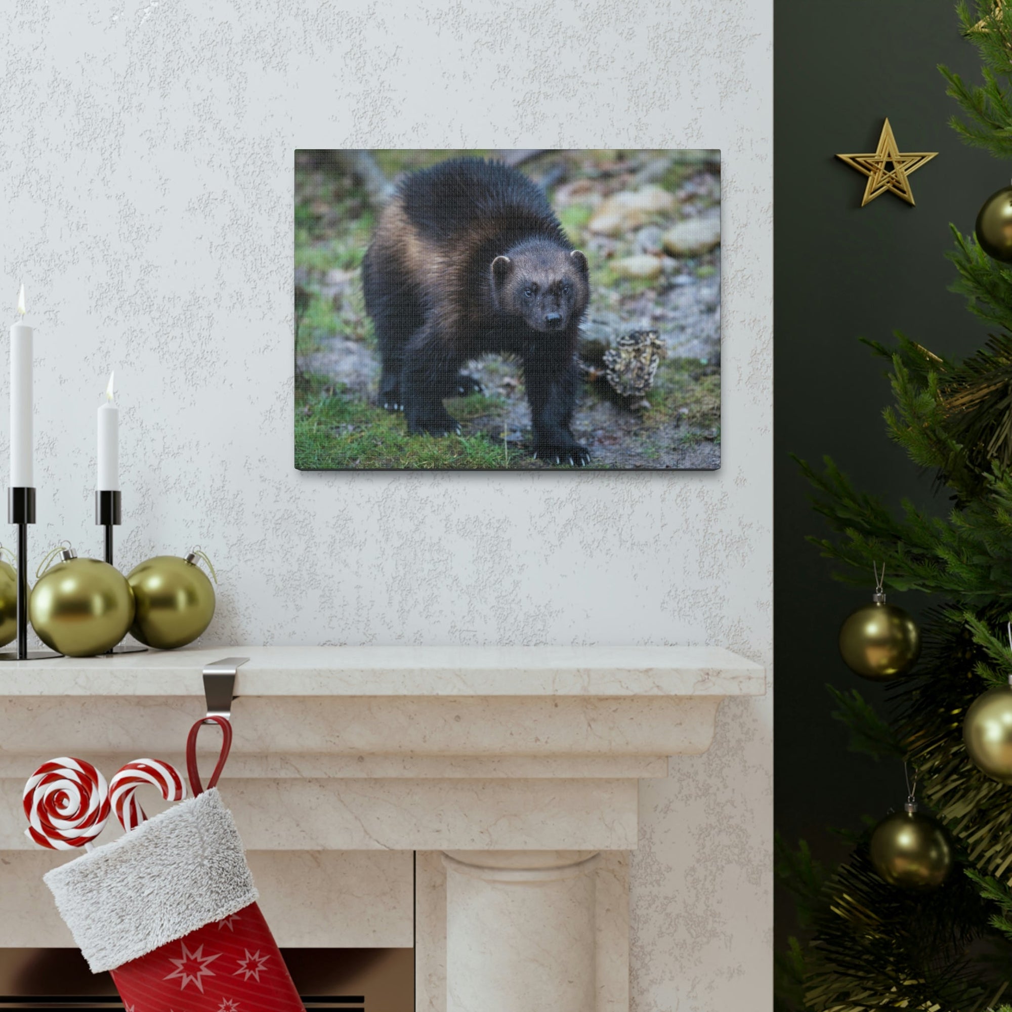 Scripture Walls Wolverine Hunting Wolverine on Hunt Print Animal Wall Art Wildlife Canvas Prints Wall Art Ready to Hang Unframed-Express Your Love Gifts