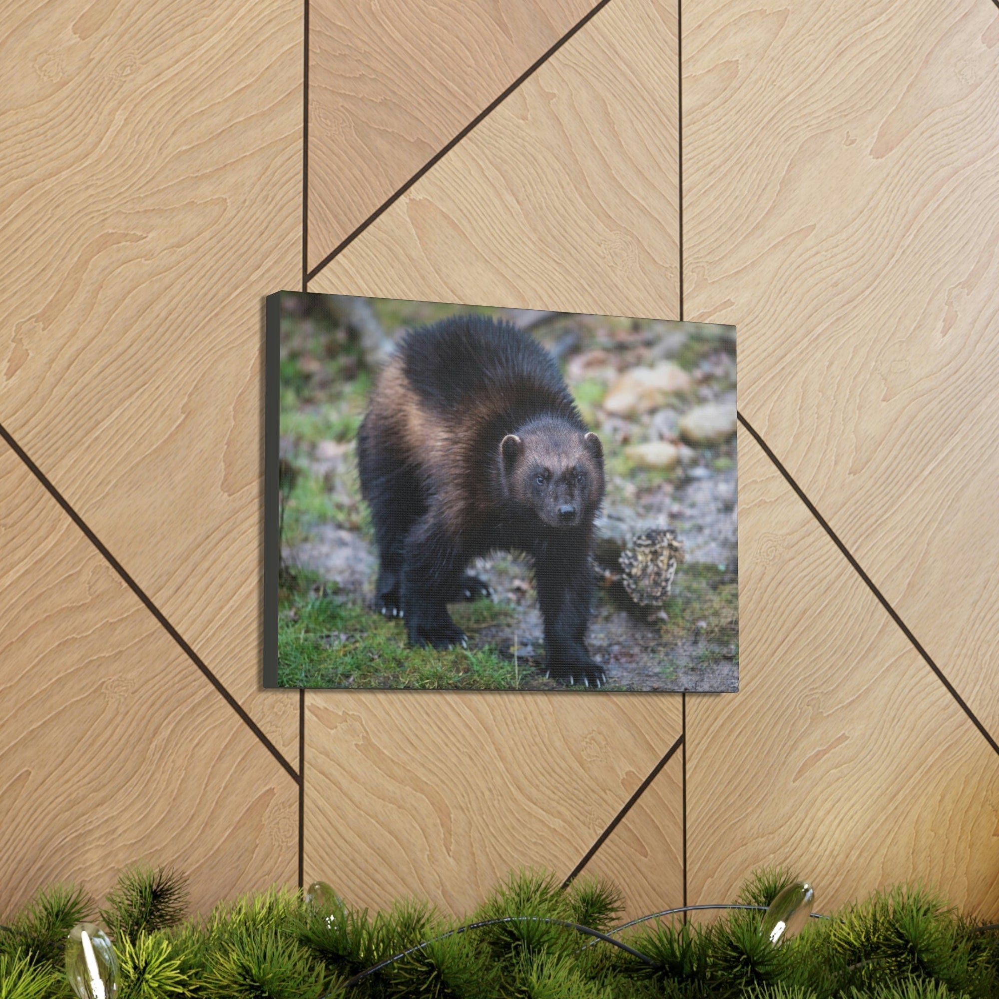 Scripture Walls Wolverine Hunting Wolverine on Hunt Print Animal Wall Art Wildlife Canvas Prints Wall Art Ready to Hang Unframed-Express Your Love Gifts