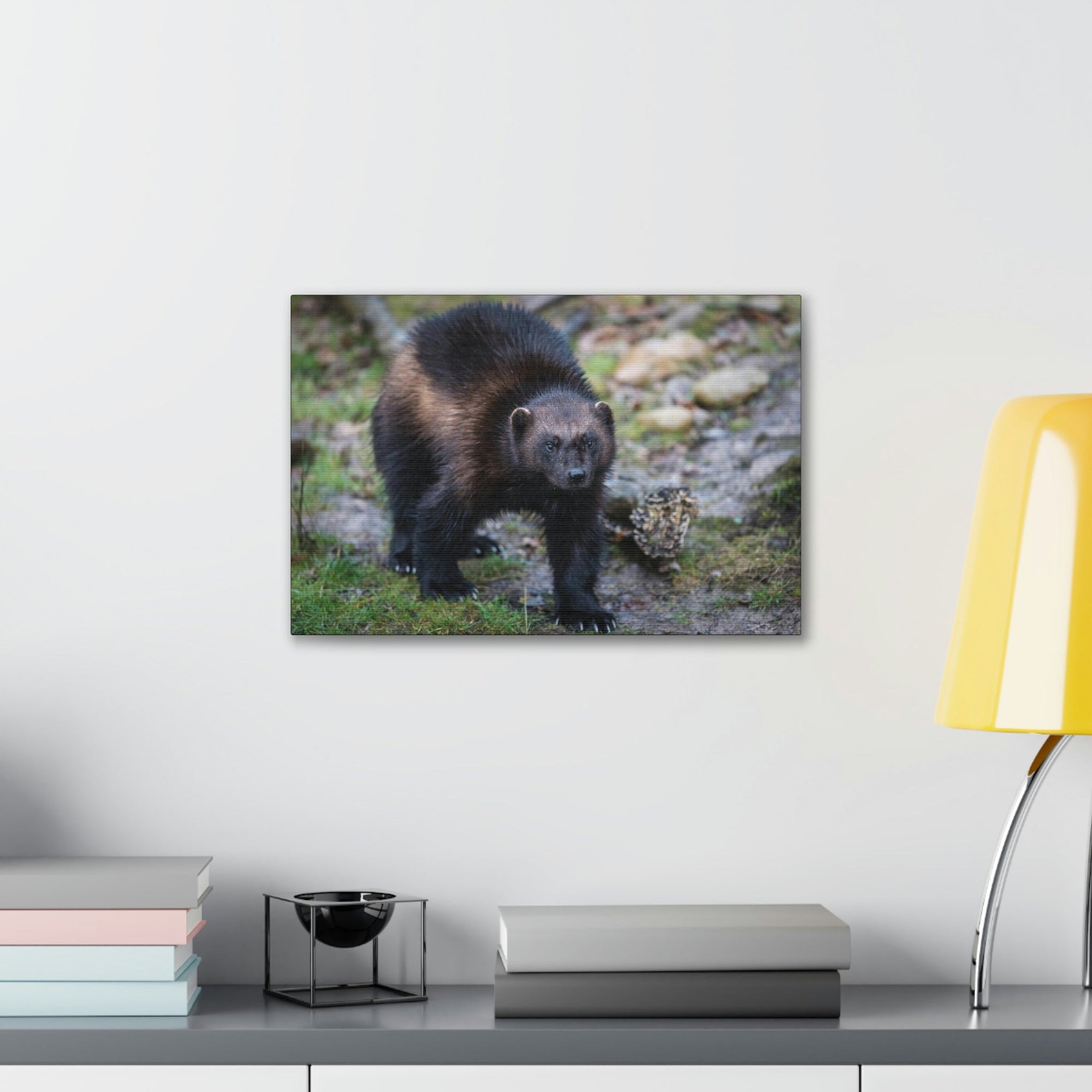 Scripture Walls Wolverine Hunting Wolverine on Hunt Print Animal Wall Art Wildlife Canvas Prints Wall Art Ready to Hang Unframed-Express Your Love Gifts