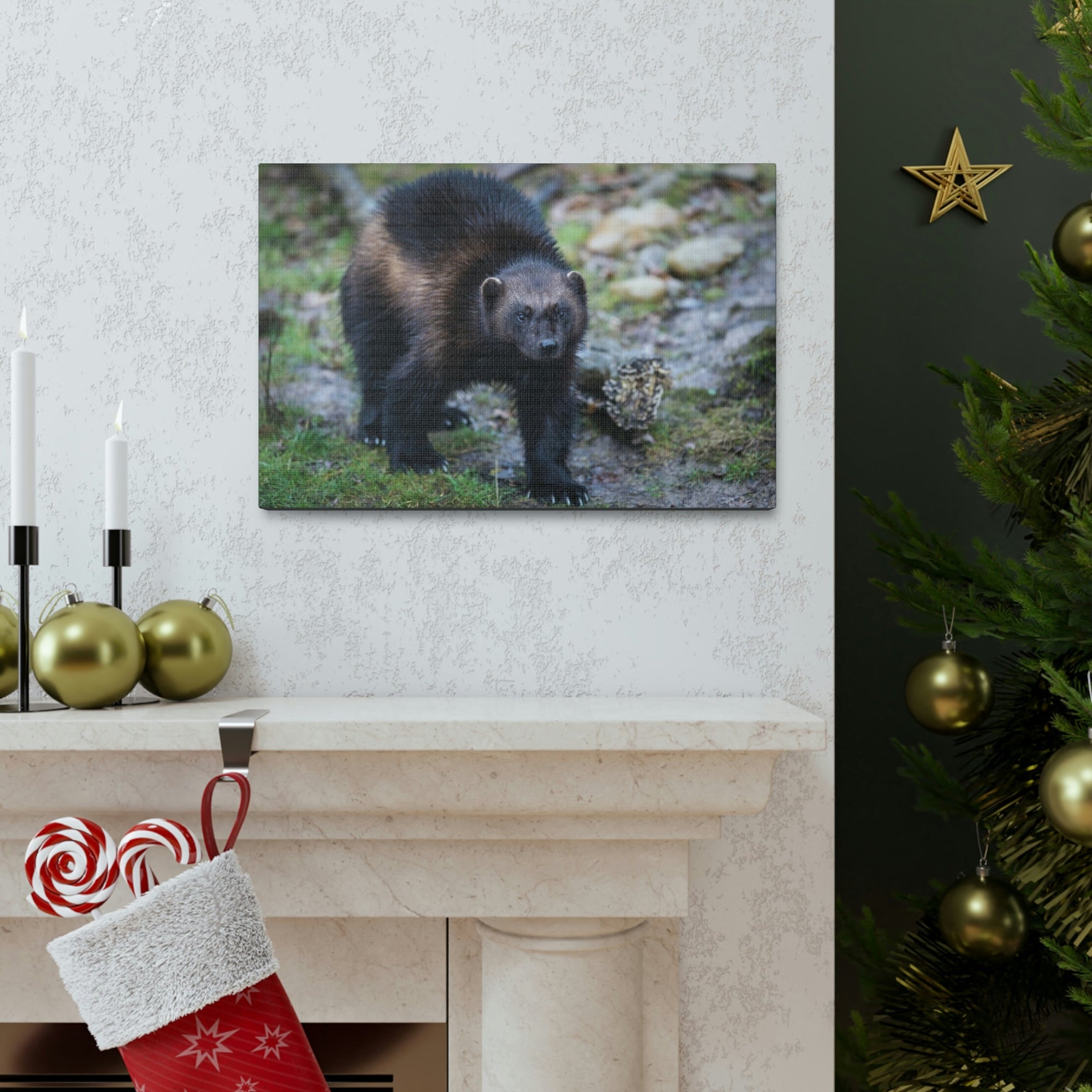 Scripture Walls Wolverine Hunting Wolverine on Hunt Print Animal Wall Art Wildlife Canvas Prints Wall Art Ready to Hang Unframed-Express Your Love Gifts