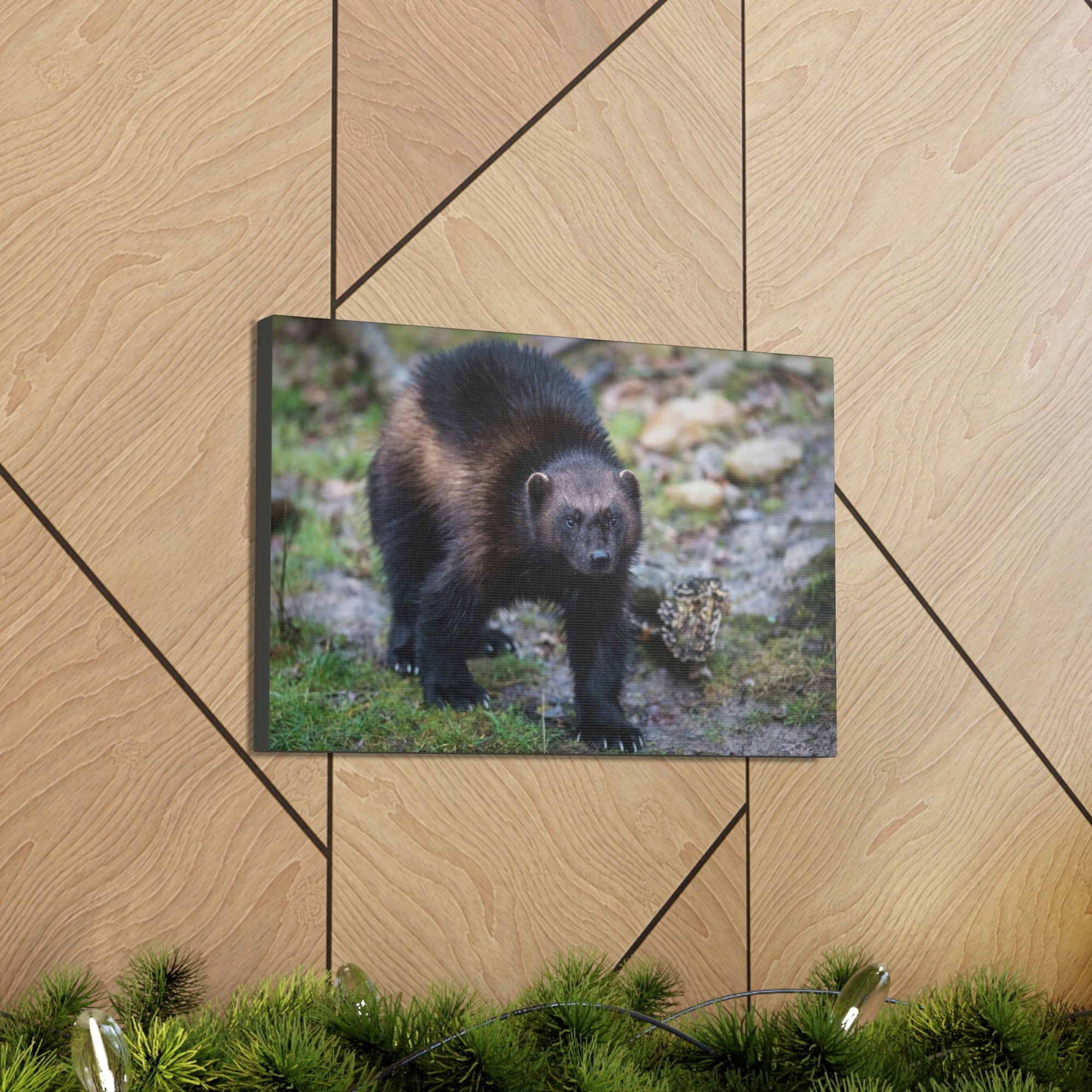 Scripture Walls Wolverine Hunting Wolverine on Hunt Print Animal Wall Art Wildlife Canvas Prints Wall Art Ready to Hang Unframed-Express Your Love Gifts