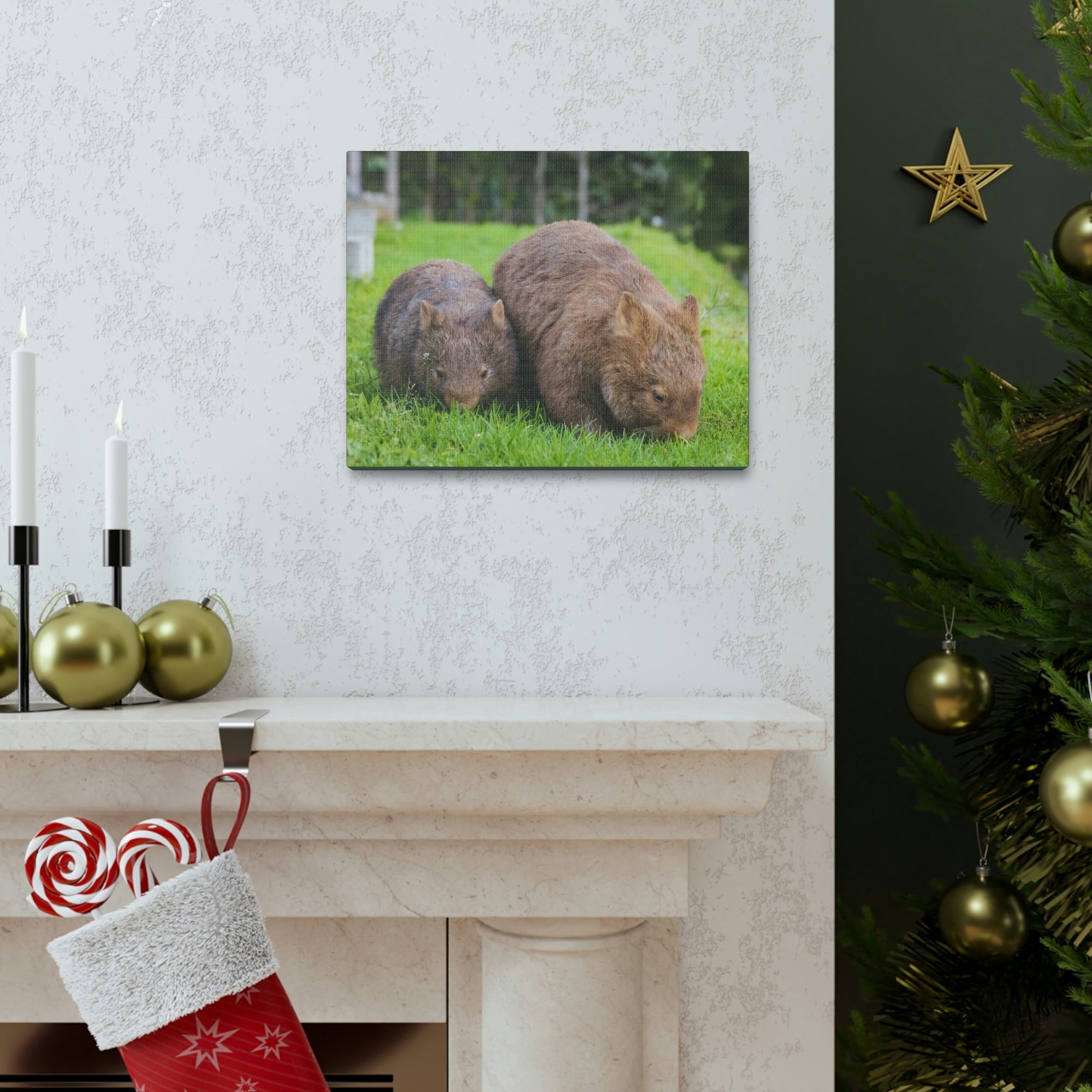 Scripture Walls Wombat Couple Wombat Couple Print Animal Wall Art Wildlife Canvas Prints Wall Art Ready to Hang Unframed-Express Your Love Gifts