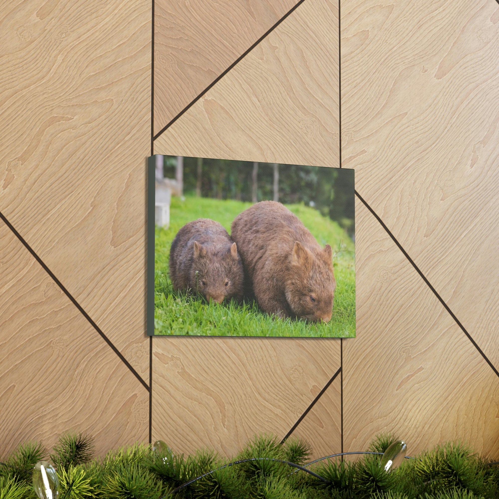 Scripture Walls Wombat Couple Wombat Couple Print Animal Wall Art Wildlife Canvas Prints Wall Art Ready to Hang Unframed-Express Your Love Gifts