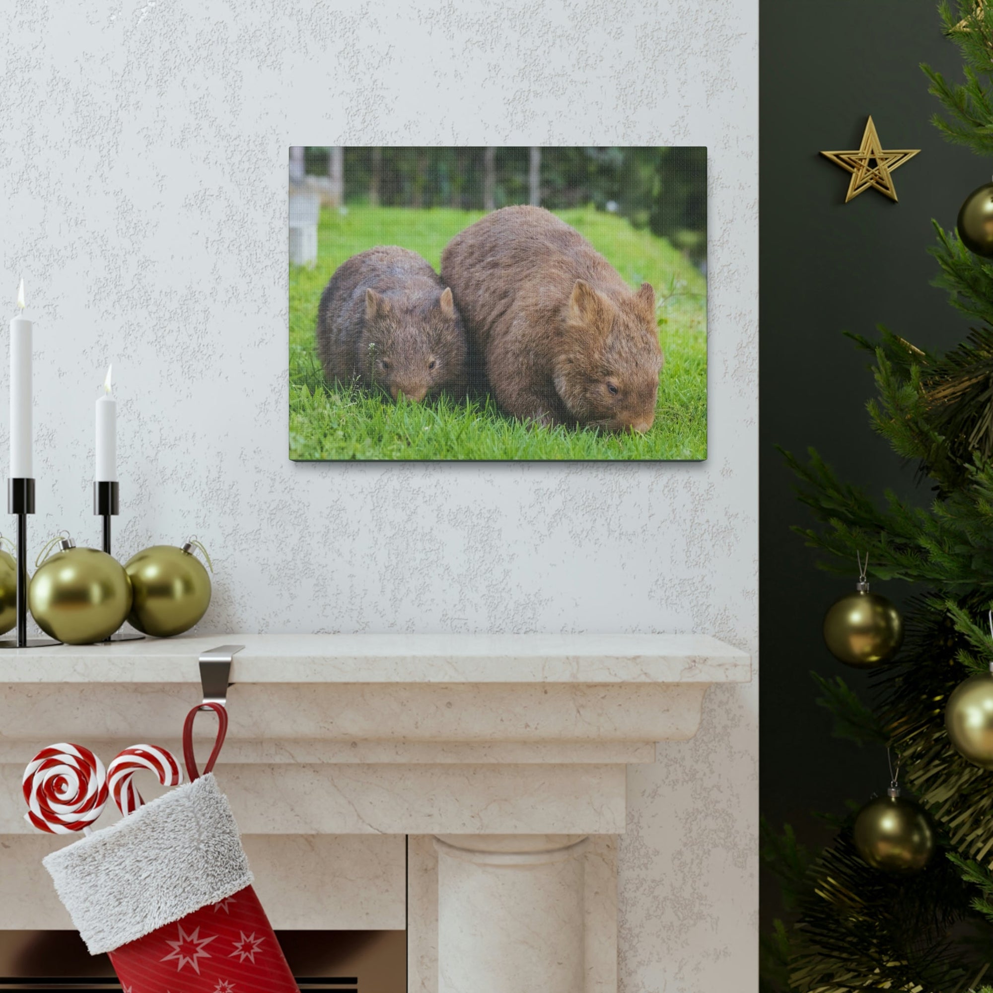 Scripture Walls Wombat Couple Wombat Couple Print Animal Wall Art Wildlife Canvas Prints Wall Art Ready to Hang Unframed-Express Your Love Gifts