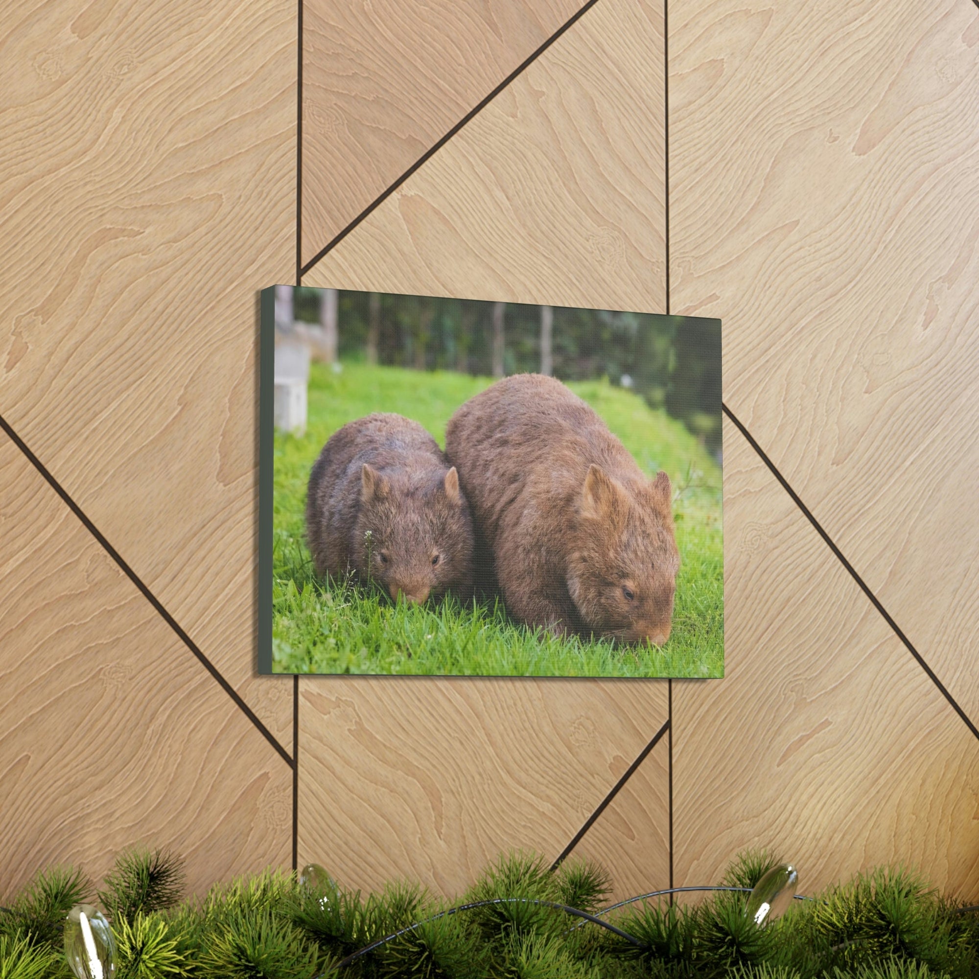 Scripture Walls Wombat Couple Wombat Couple Print Animal Wall Art Wildlife Canvas Prints Wall Art Ready to Hang Unframed-Express Your Love Gifts