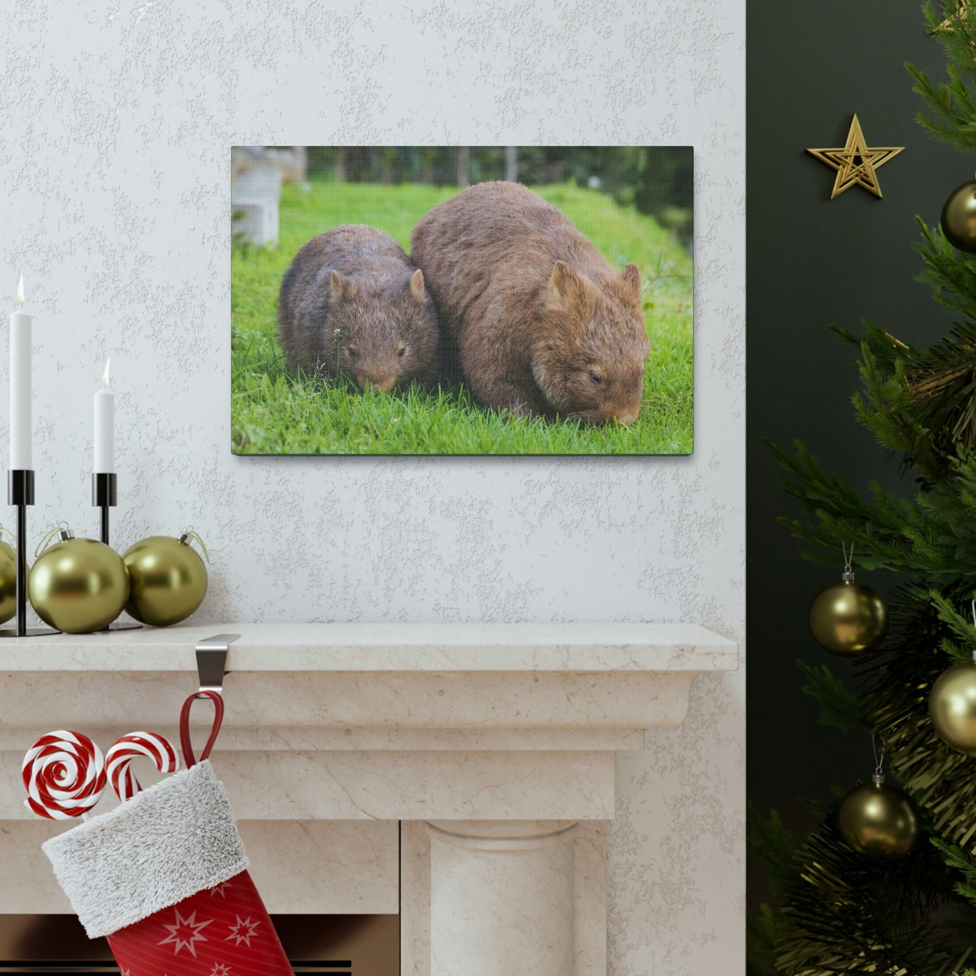 Scripture Walls Wombat Couple Wombat Couple Print Animal Wall Art Wildlife Canvas Prints Wall Art Ready to Hang Unframed-Express Your Love Gifts