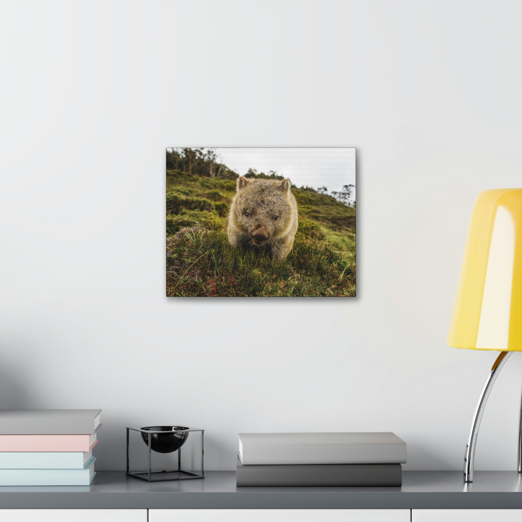 Scripture Walls Wombat Hunting Wombat on Hunt Print Animal Wall Art Wildlife Canvas Prints Wall Art Ready to Hang Unframed-Express Your Love Gifts