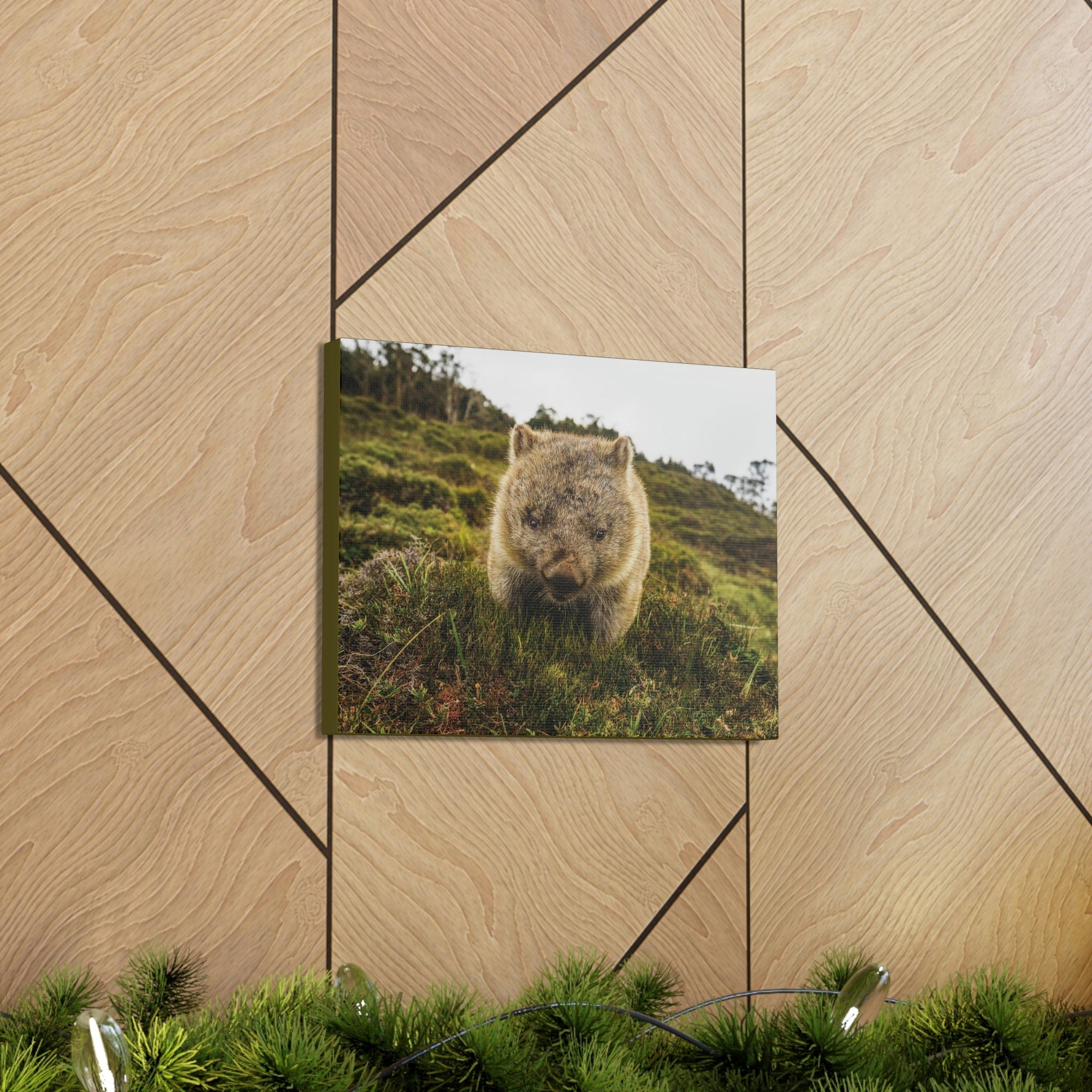 Scripture Walls Wombat Hunting Wombat on Hunt Print Animal Wall Art Wildlife Canvas Prints Wall Art Ready to Hang Unframed-Express Your Love Gifts