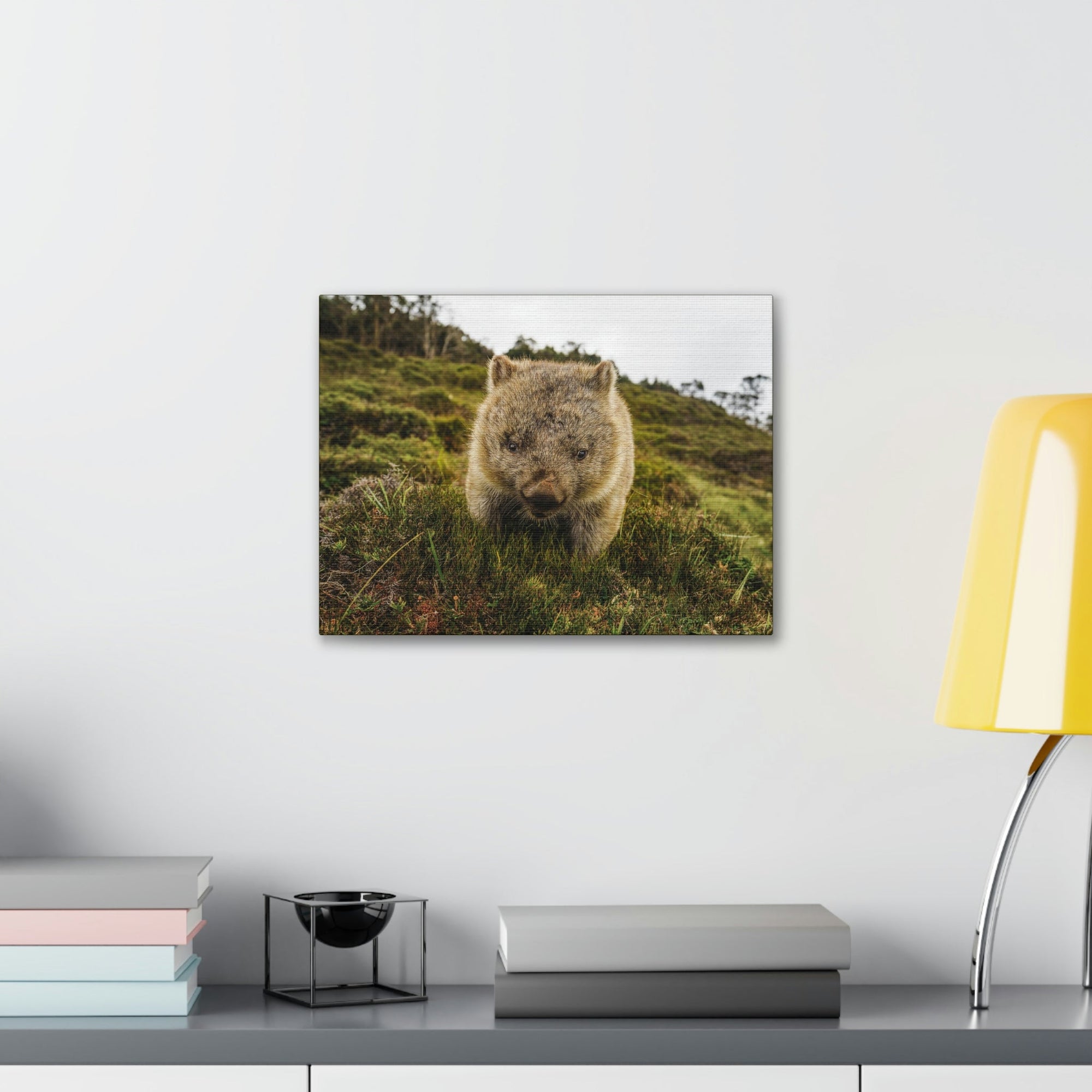 Scripture Walls Wombat Hunting Wombat on Hunt Print Animal Wall Art Wildlife Canvas Prints Wall Art Ready to Hang Unframed-Express Your Love Gifts