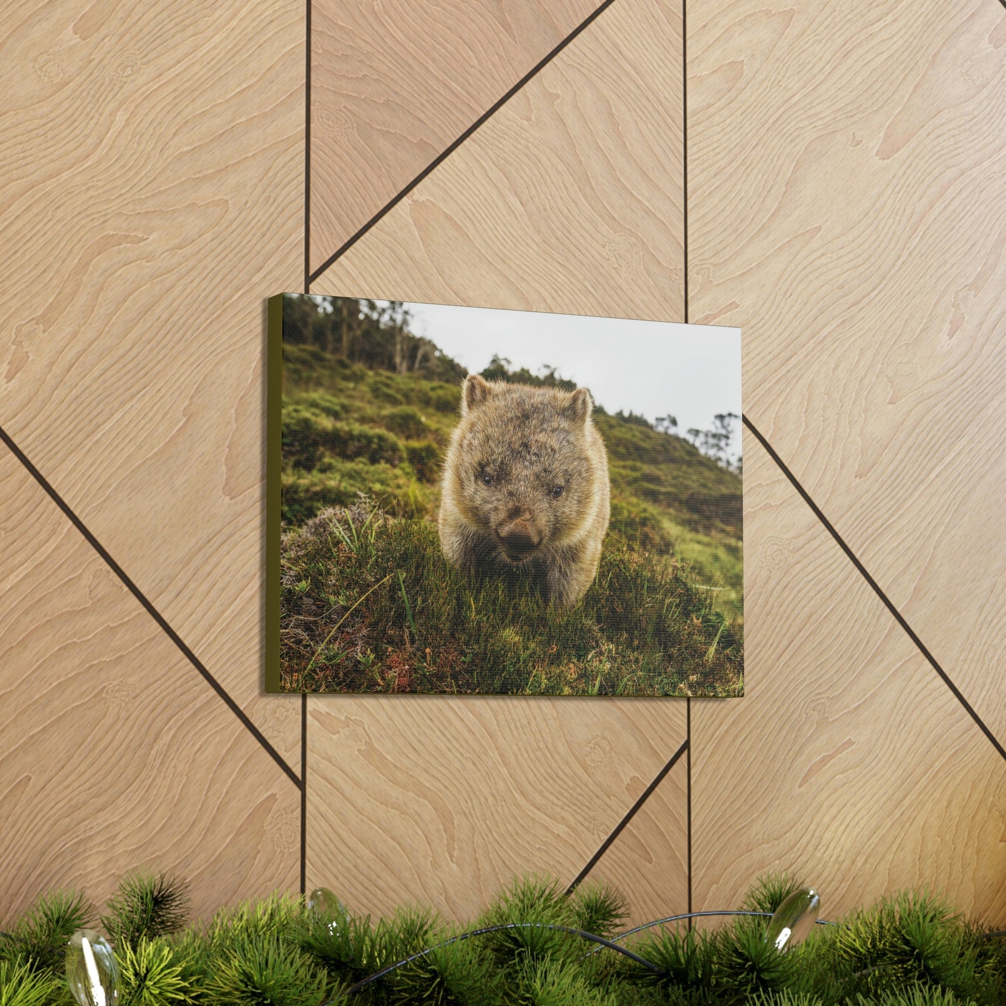 Scripture Walls Wombat Hunting Wombat on Hunt Print Animal Wall Art Wildlife Canvas Prints Wall Art Ready to Hang Unframed-Express Your Love Gifts