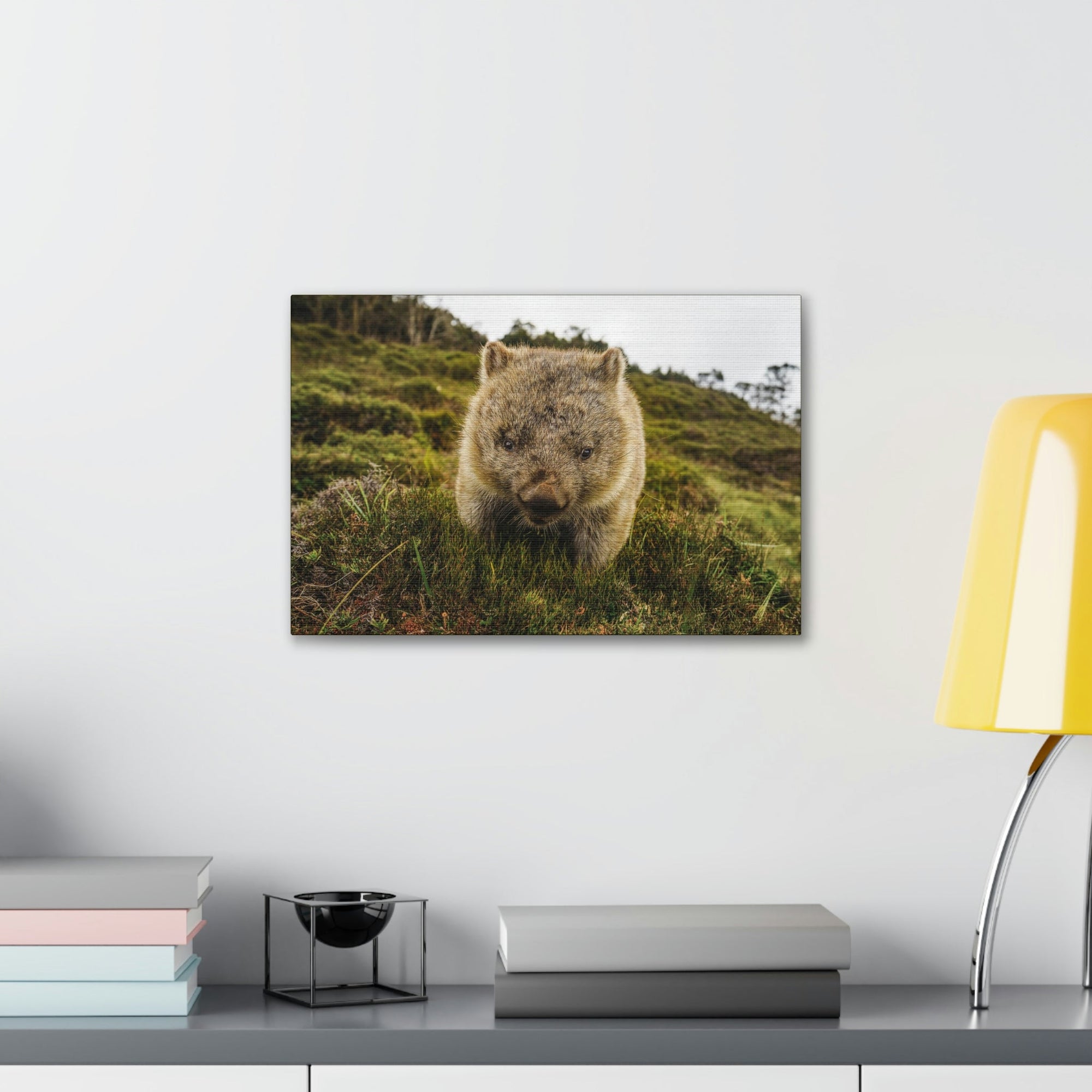 Scripture Walls Wombat Hunting Wombat on Hunt Print Animal Wall Art Wildlife Canvas Prints Wall Art Ready to Hang Unframed-Express Your Love Gifts