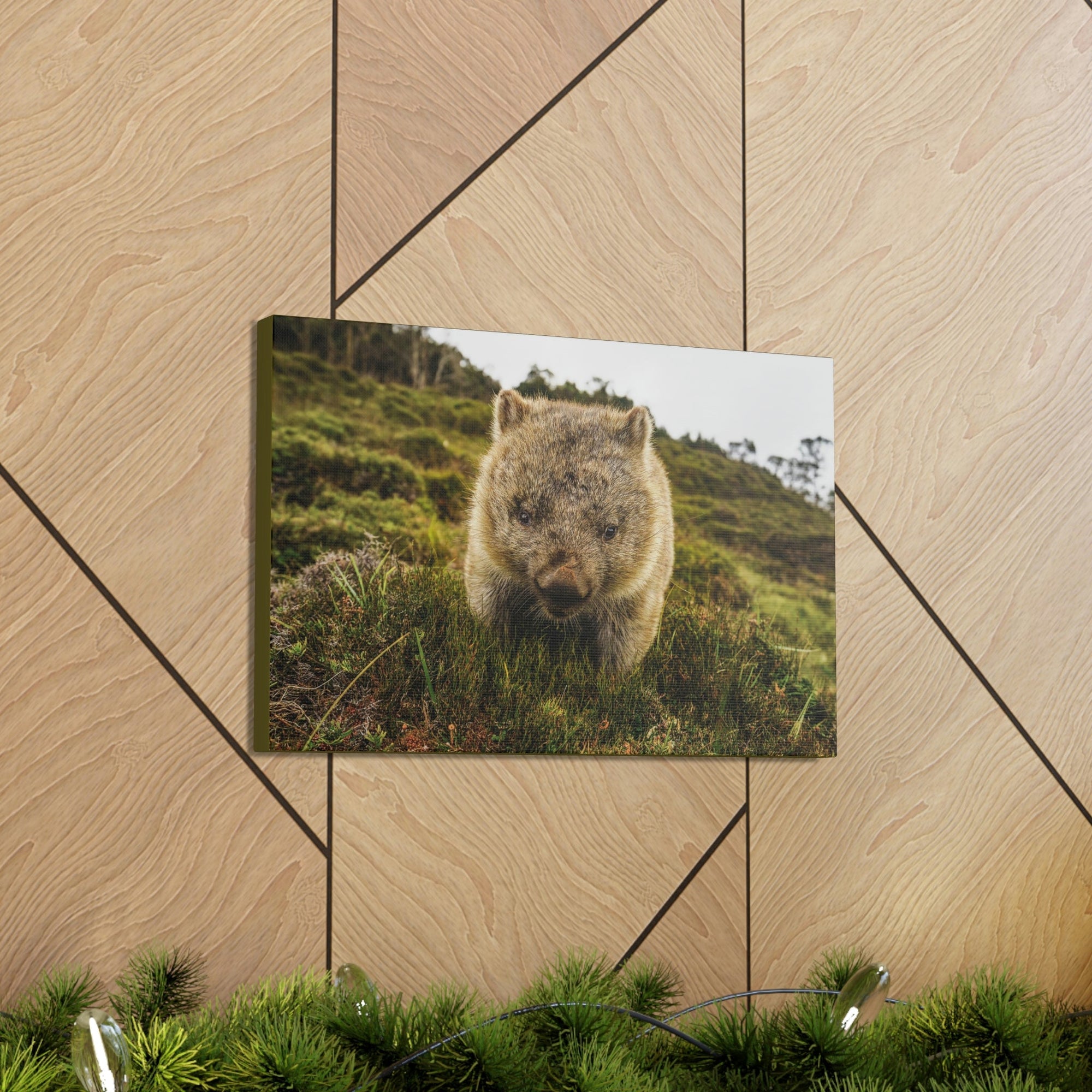 Scripture Walls Wombat Hunting Wombat on Hunt Print Animal Wall Art Wildlife Canvas Prints Wall Art Ready to Hang Unframed-Express Your Love Gifts