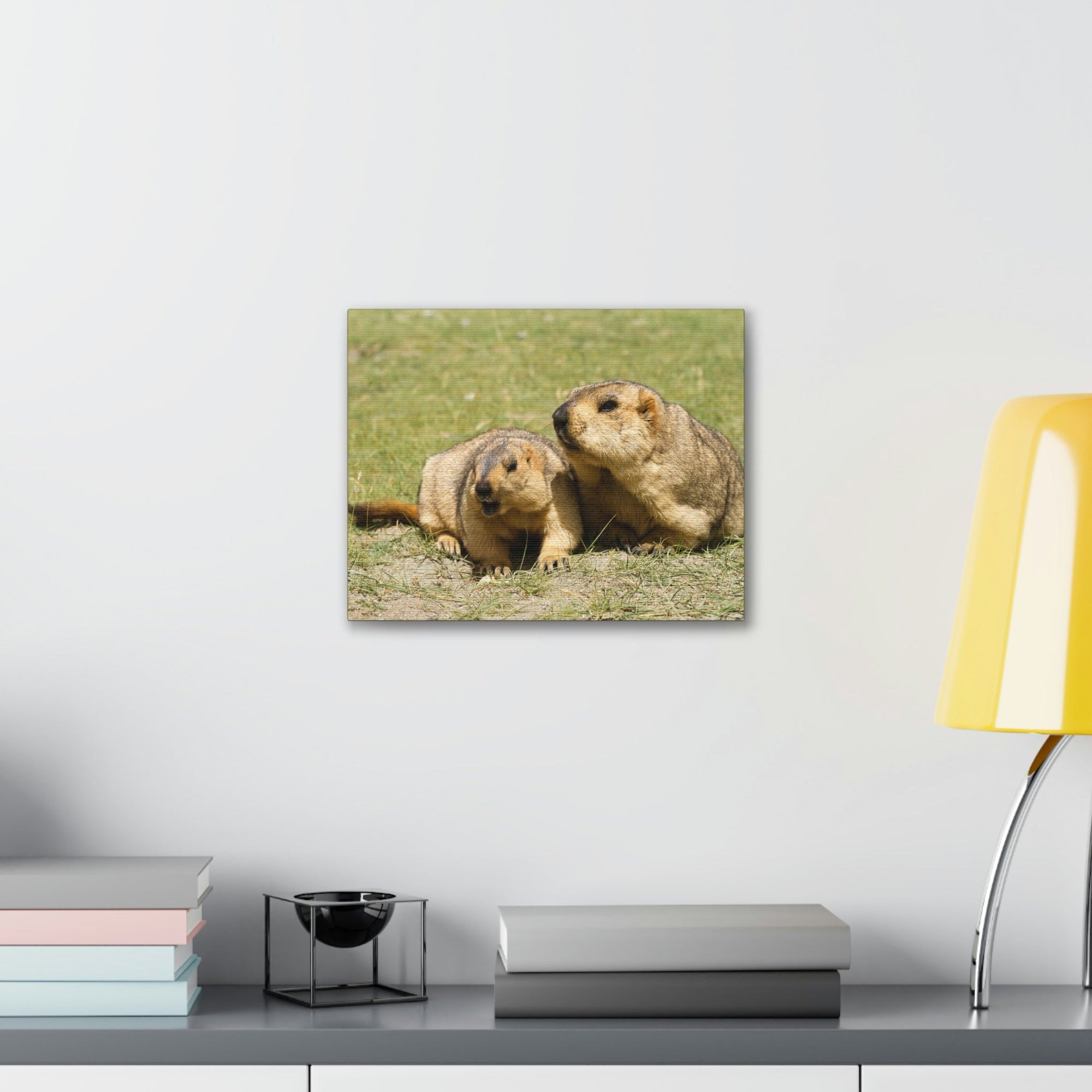 Scripture Walls Woodchuck Couple Woodchuck Couple Print Animal Wall Art Wildlife Canvas Prints Wall Art Ready to Hang Unframed-Express Your Love Gifts