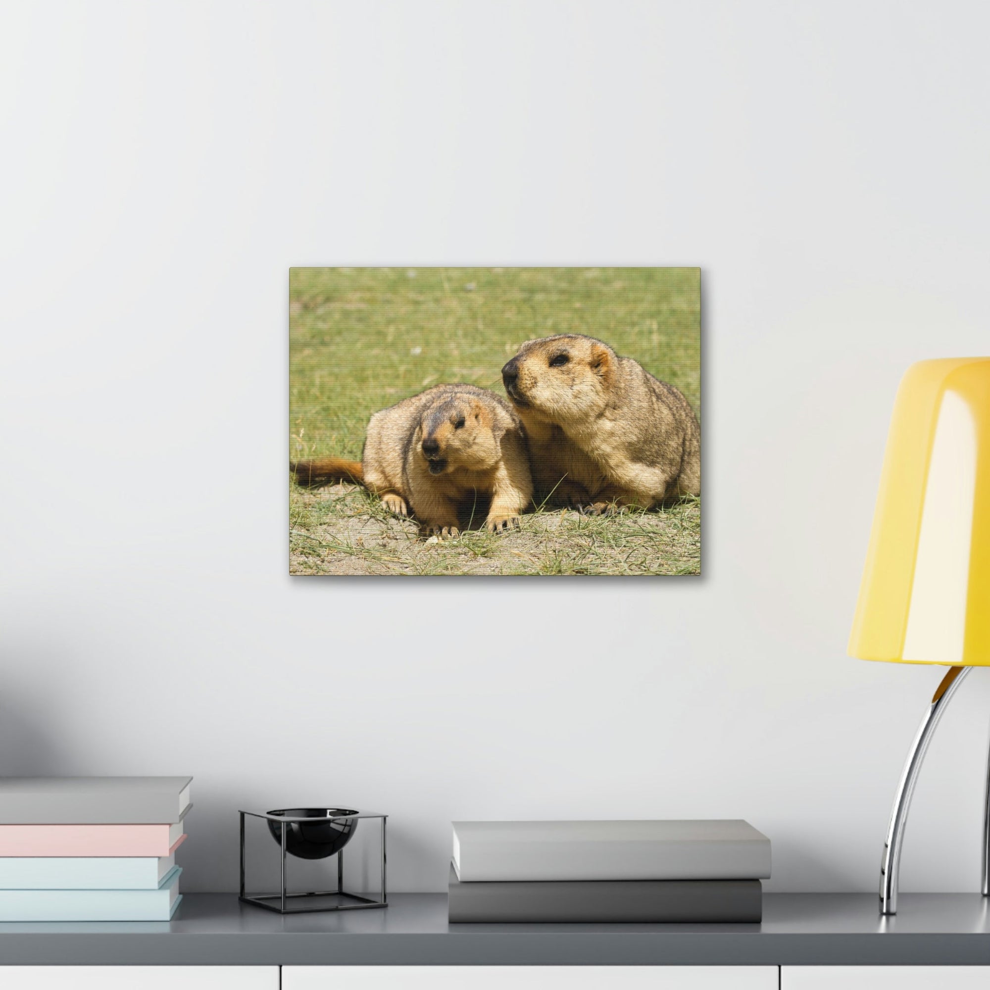 Scripture Walls Woodchuck Couple Woodchuck Couple Print Animal Wall Art Wildlife Canvas Prints Wall Art Ready to Hang Unframed-Express Your Love Gifts