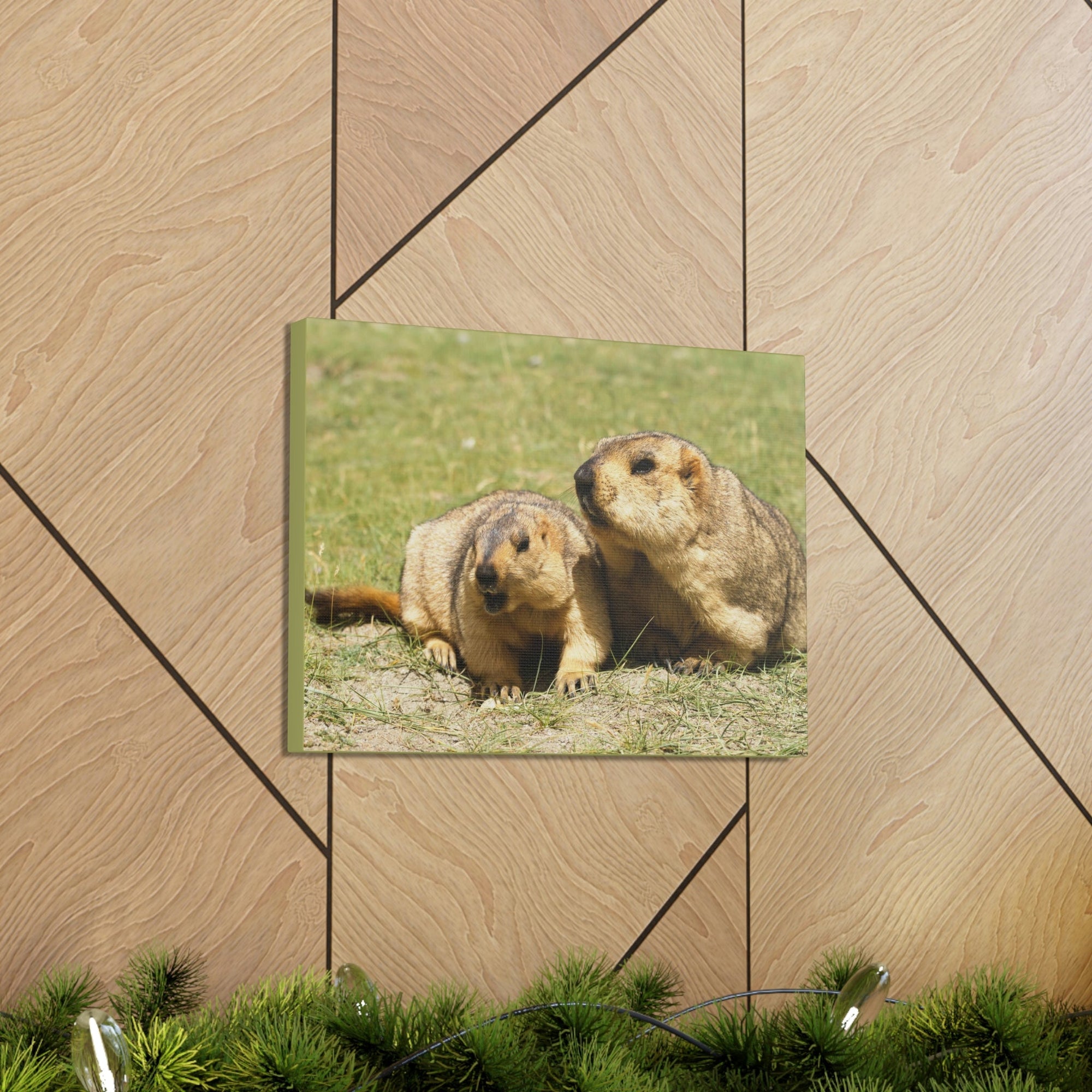 Scripture Walls Woodchuck Couple Woodchuck Couple Print Animal Wall Art Wildlife Canvas Prints Wall Art Ready to Hang Unframed-Express Your Love Gifts