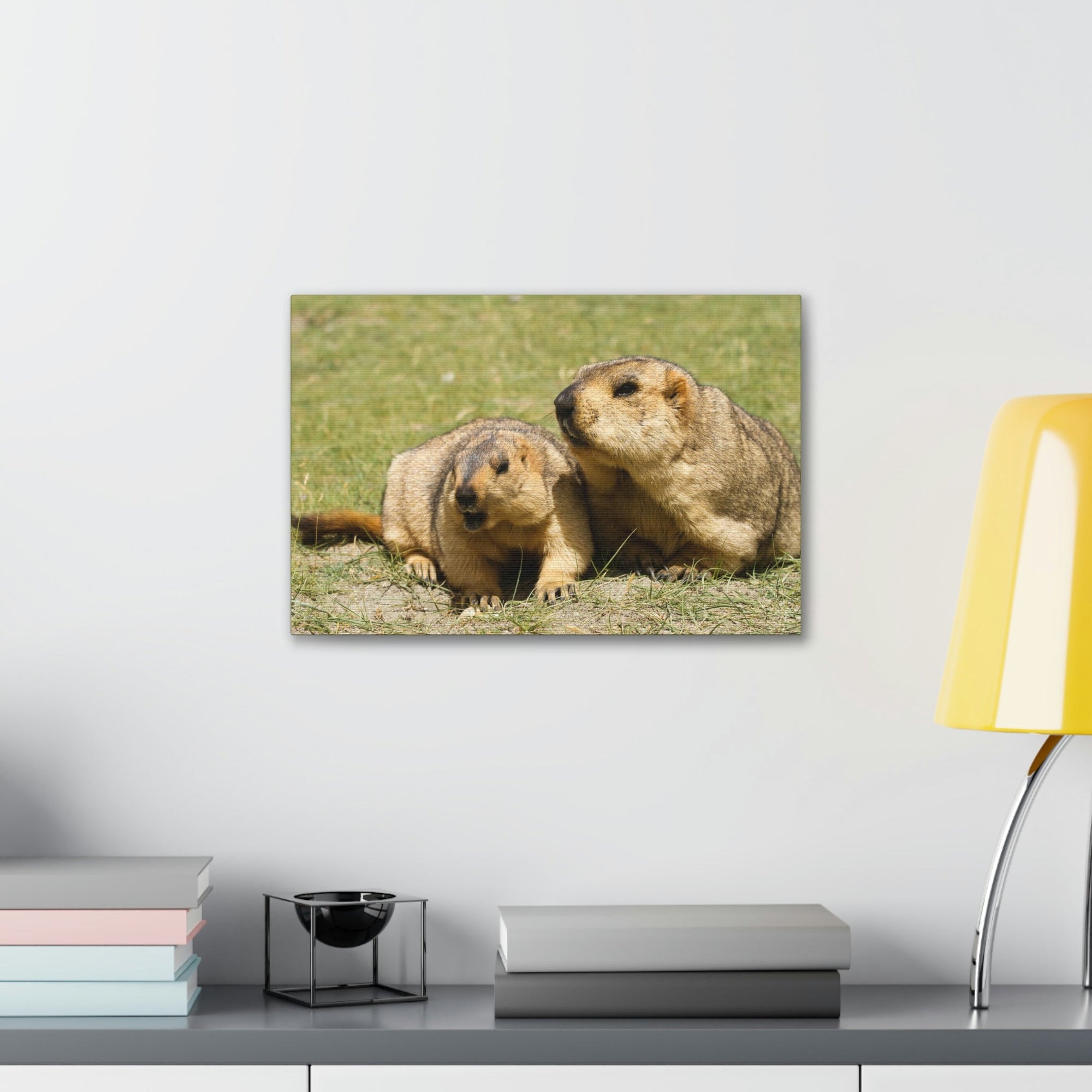 Scripture Walls Woodchuck Couple Woodchuck Couple Print Animal Wall Art Wildlife Canvas Prints Wall Art Ready to Hang Unframed-Express Your Love Gifts