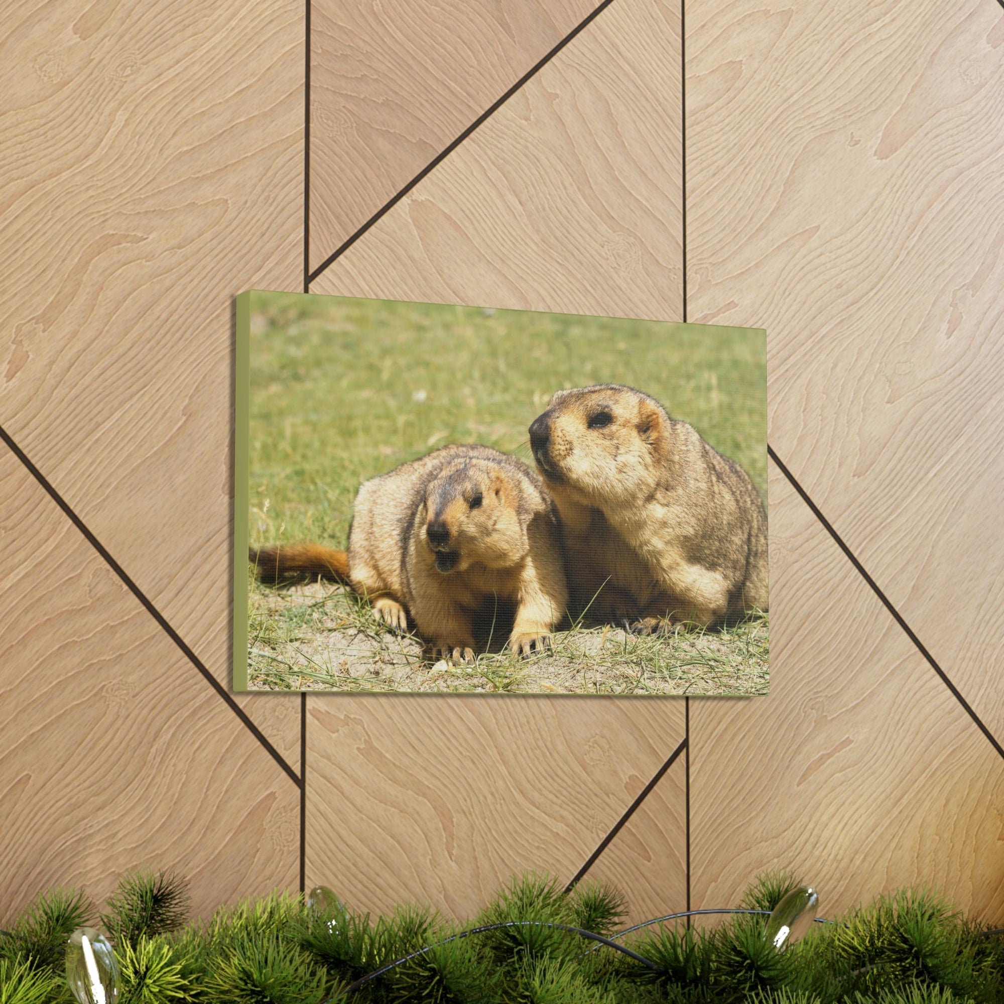 Scripture Walls Woodchuck Couple Woodchuck Couple Print Animal Wall Art Wildlife Canvas Prints Wall Art Ready to Hang Unframed-Express Your Love Gifts