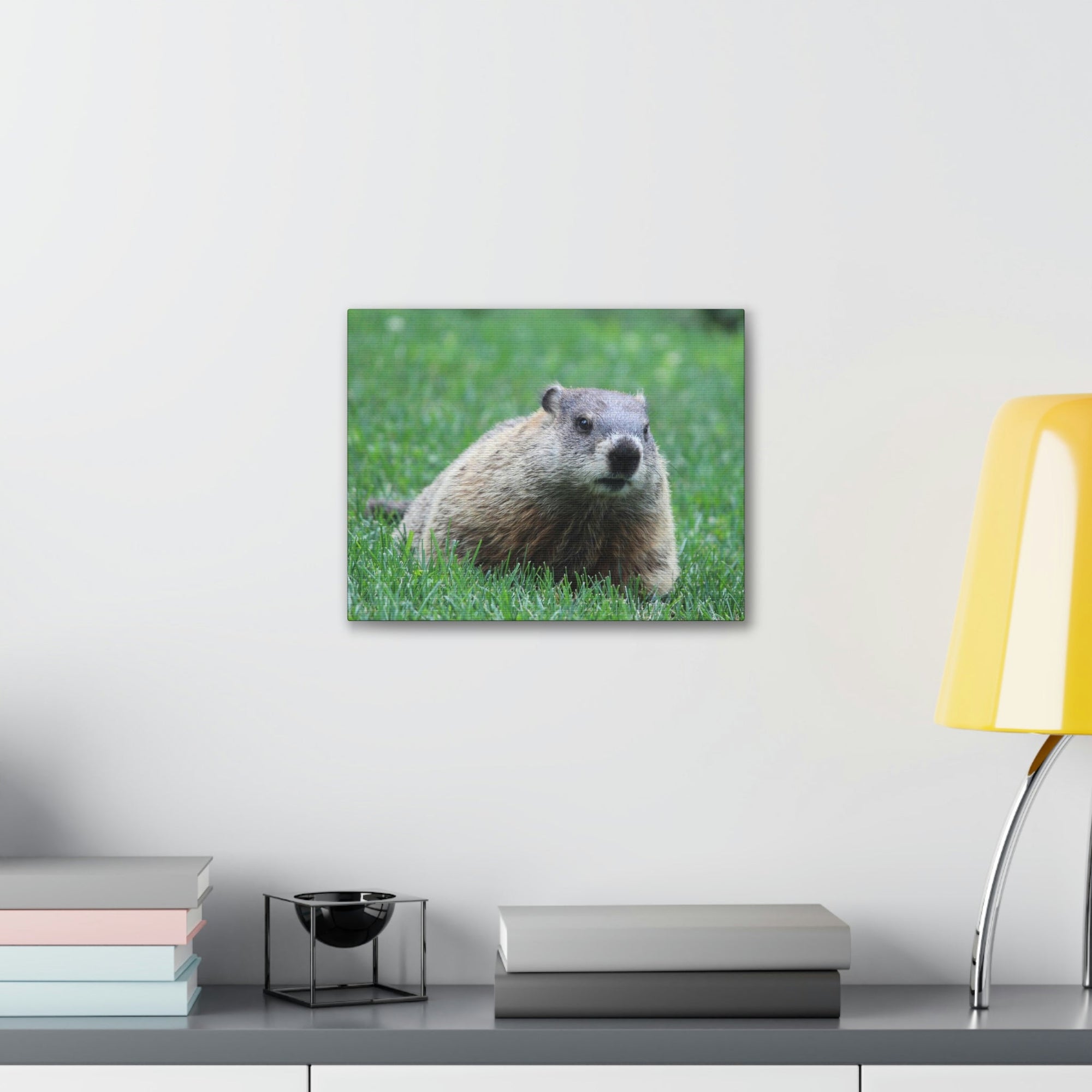 Scripture Walls Woodchuck Hunting Woodchuck on Hunt Print Animal Wall Art Wildlife Canvas Prints Wall Art Ready to Hang Unframed-Express Your Love Gifts