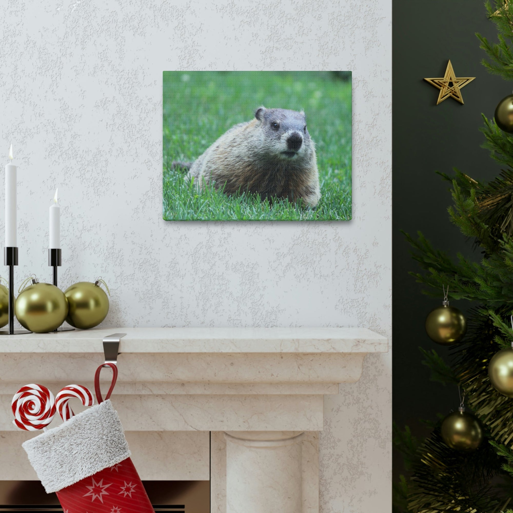 Scripture Walls Woodchuck Hunting Woodchuck on Hunt Print Animal Wall Art Wildlife Canvas Prints Wall Art Ready to Hang Unframed-Express Your Love Gifts