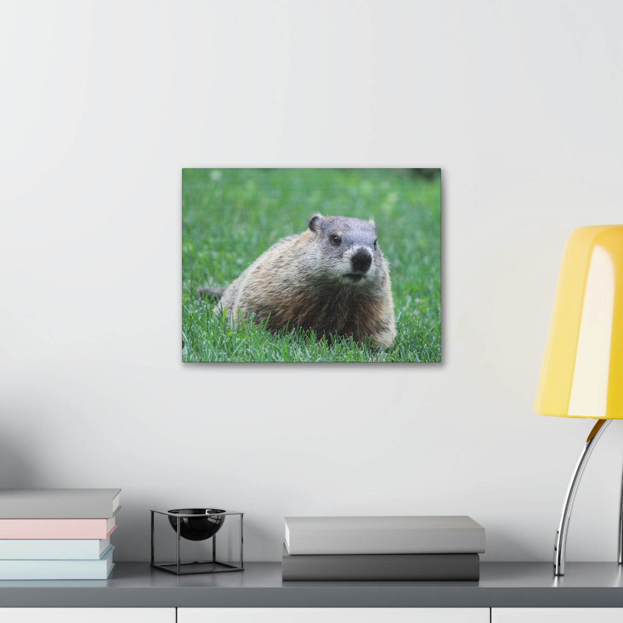 Scripture Walls Woodchuck Hunting Woodchuck on Hunt Print Animal Wall Art Wildlife Canvas Prints Wall Art Ready to Hang Unframed-Express Your Love Gifts