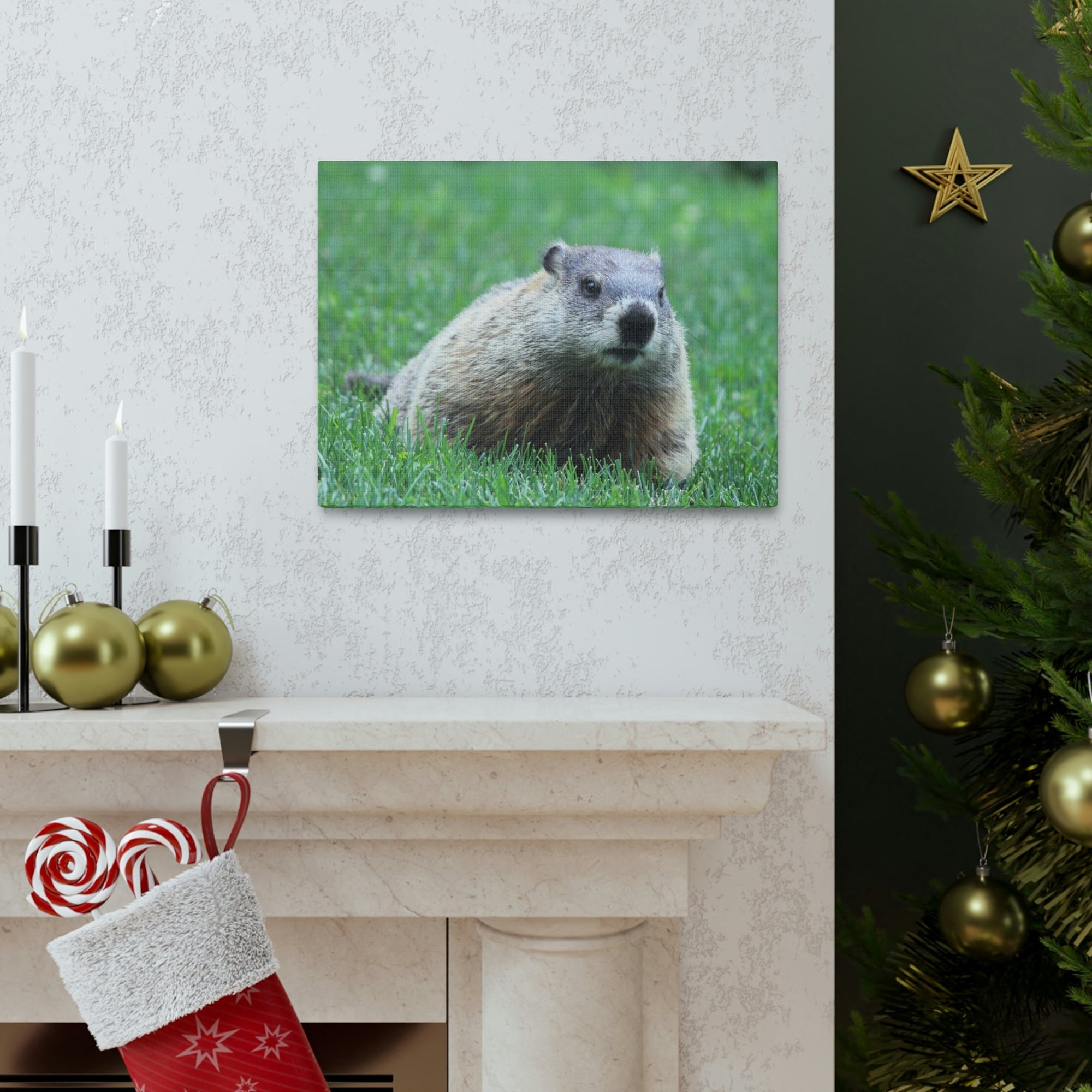 Scripture Walls Woodchuck Hunting Woodchuck on Hunt Print Animal Wall Art Wildlife Canvas Prints Wall Art Ready to Hang Unframed-Express Your Love Gifts