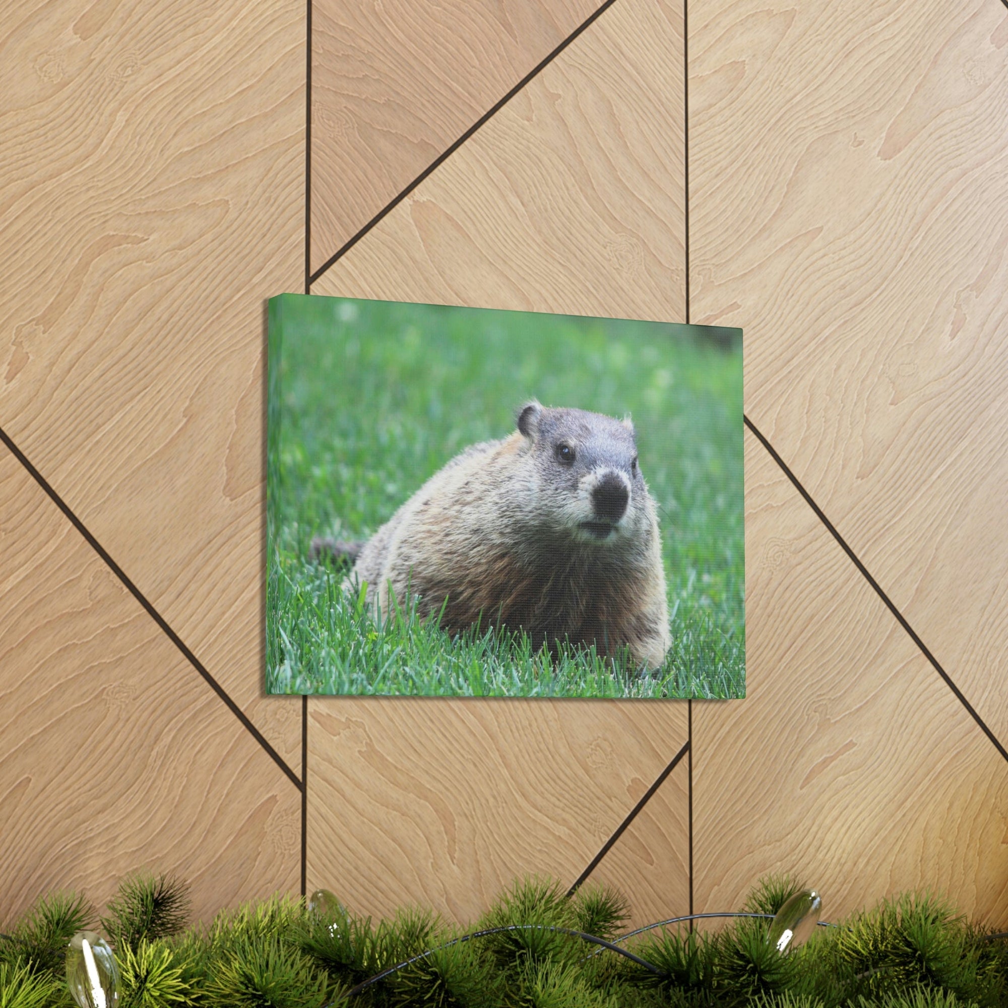 Scripture Walls Woodchuck Hunting Woodchuck on Hunt Print Animal Wall Art Wildlife Canvas Prints Wall Art Ready to Hang Unframed-Express Your Love Gifts