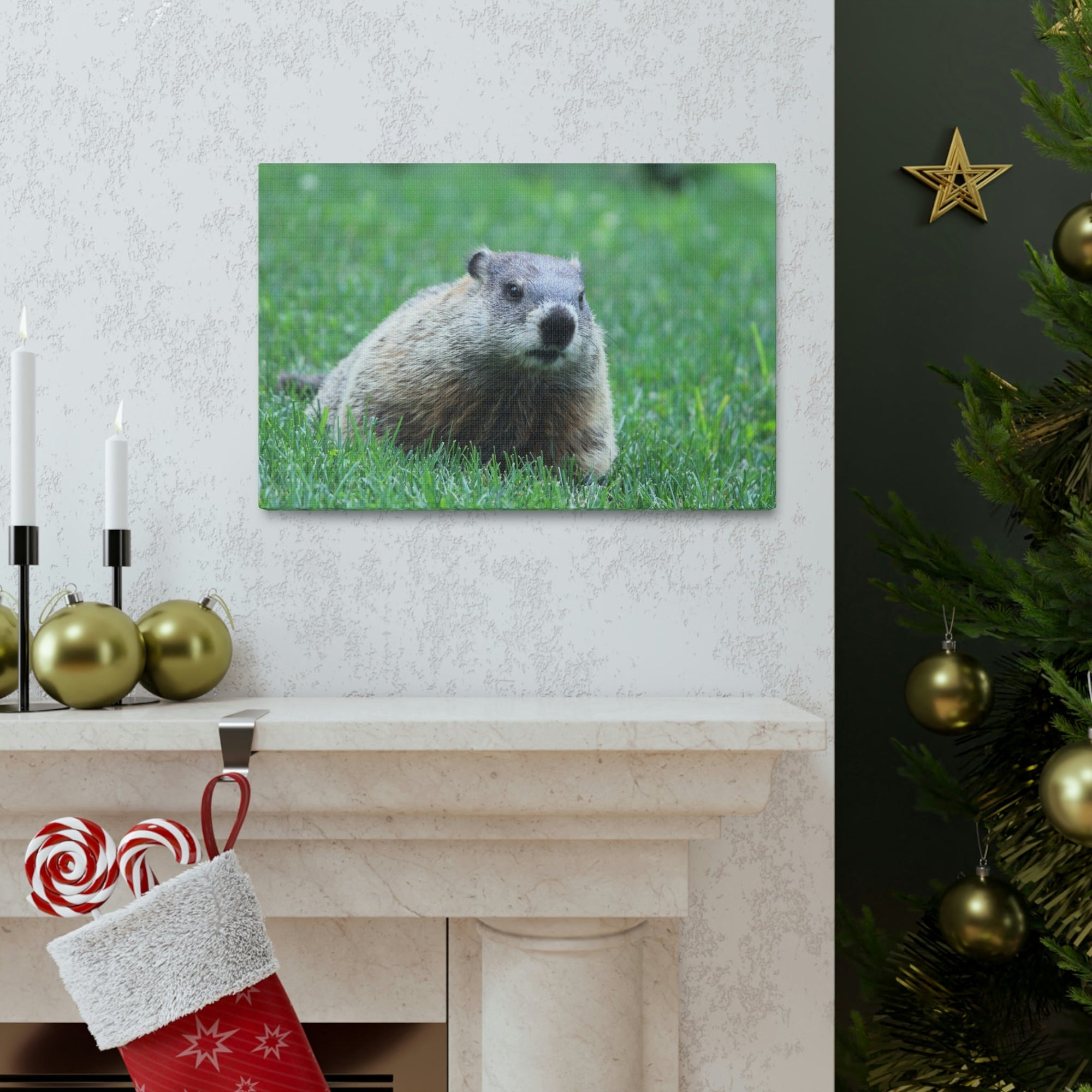 Scripture Walls Woodchuck Hunting Woodchuck on Hunt Print Animal Wall Art Wildlife Canvas Prints Wall Art Ready to Hang Unframed-Express Your Love Gifts