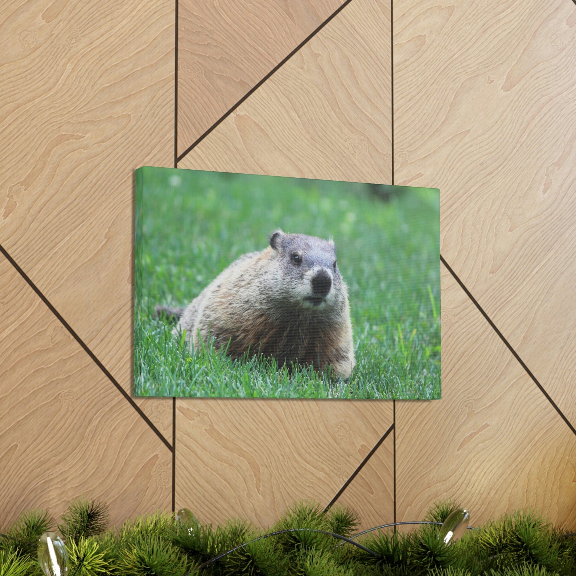 Scripture Walls Woodchuck Hunting Woodchuck on Hunt Print Animal Wall Art Wildlife Canvas Prints Wall Art Ready to Hang Unframed-Express Your Love Gifts